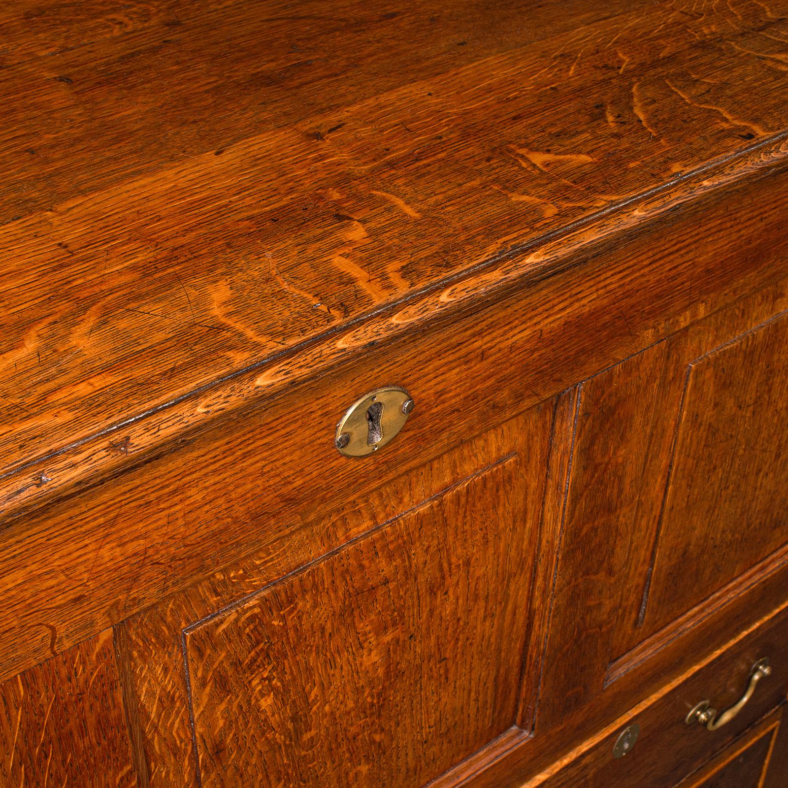 Large Antique Mule Chest, Georgian, Oak, Coffer Over Three Drawers, Circa 1780 For Sale 5