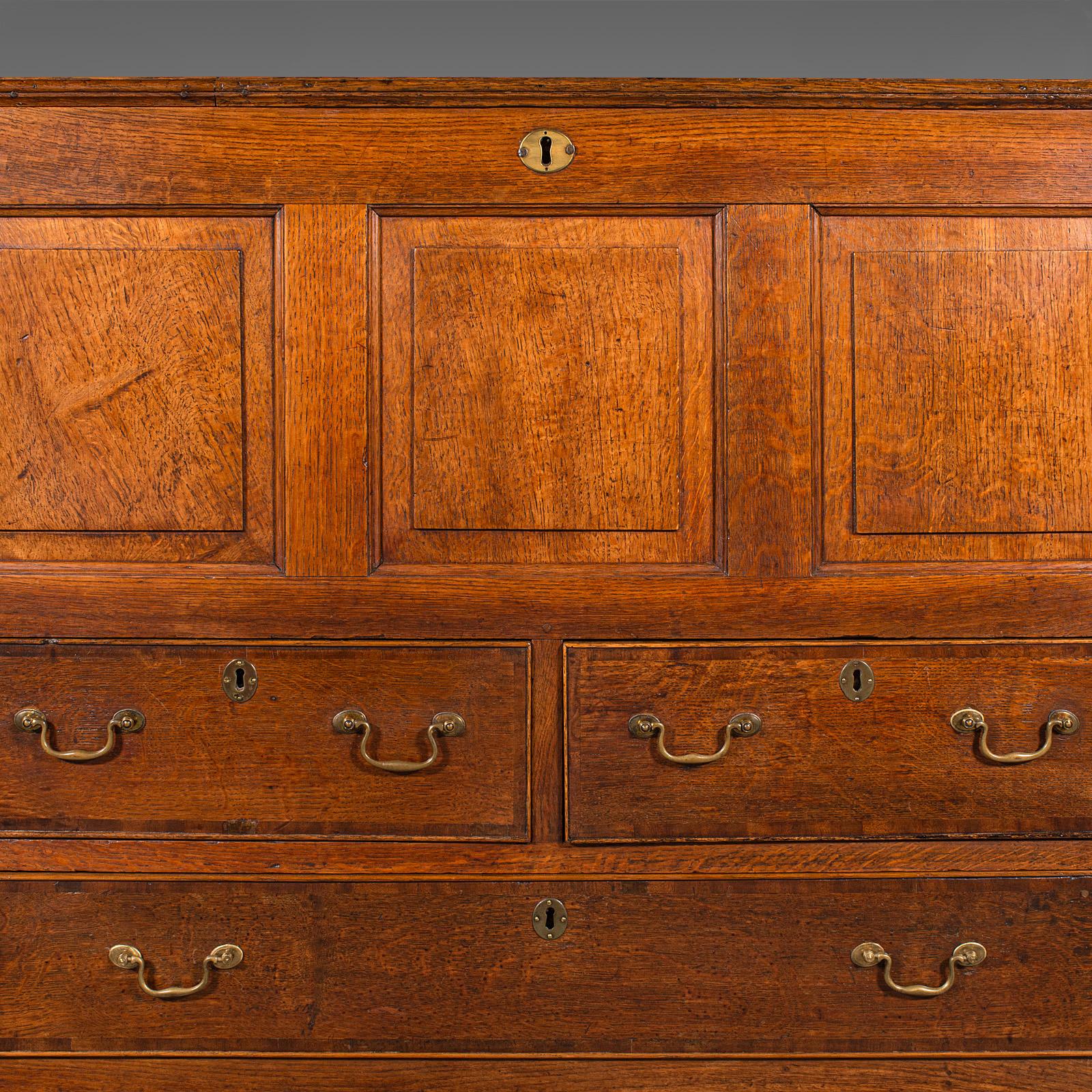 Large Antique Mule Chest, Georgian, Oak, Coffer Over Three Drawers, Circa 1780 For Sale 6