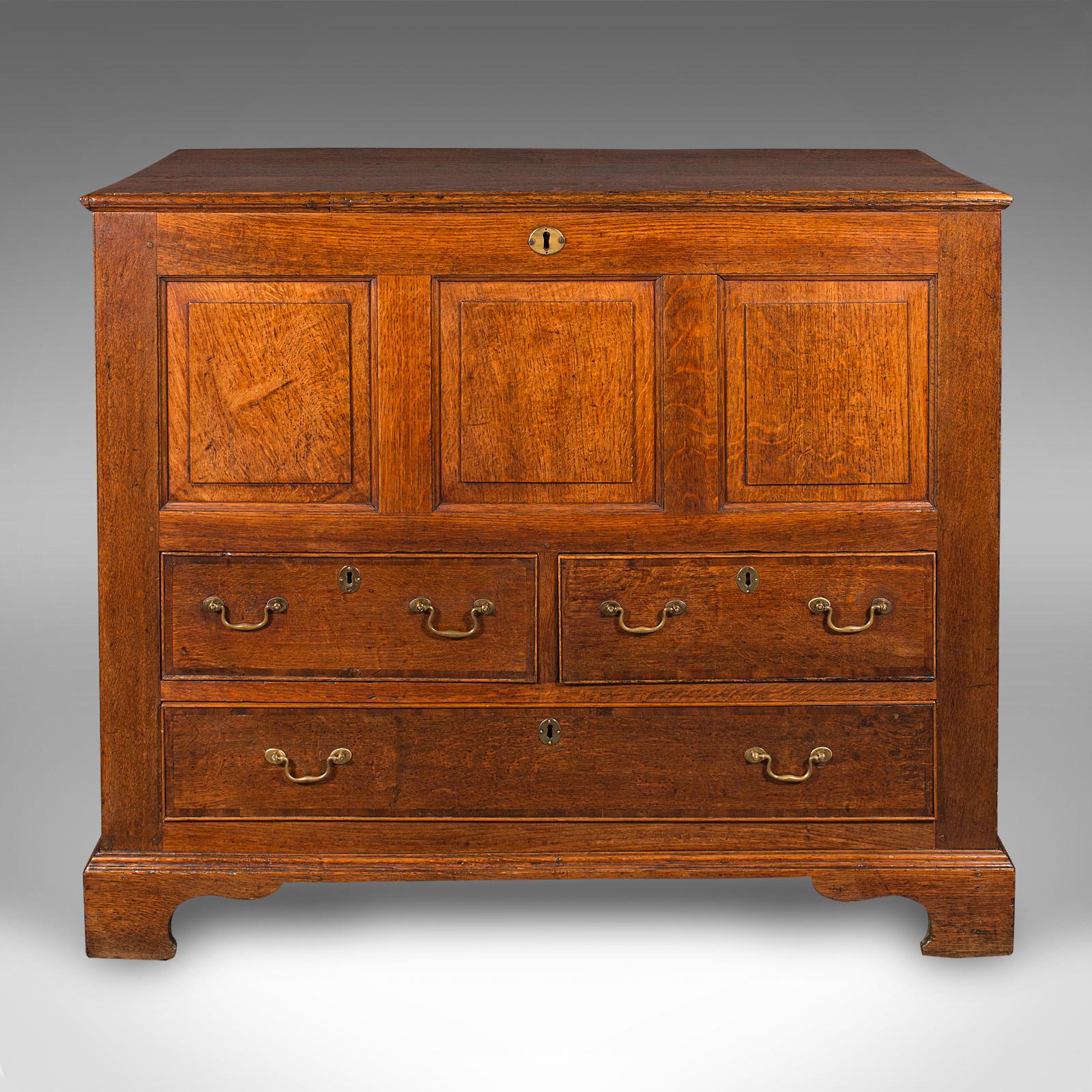 British Large Antique Mule Chest, Georgian, Oak, Coffer Over Three Drawers, Circa 1780 For Sale