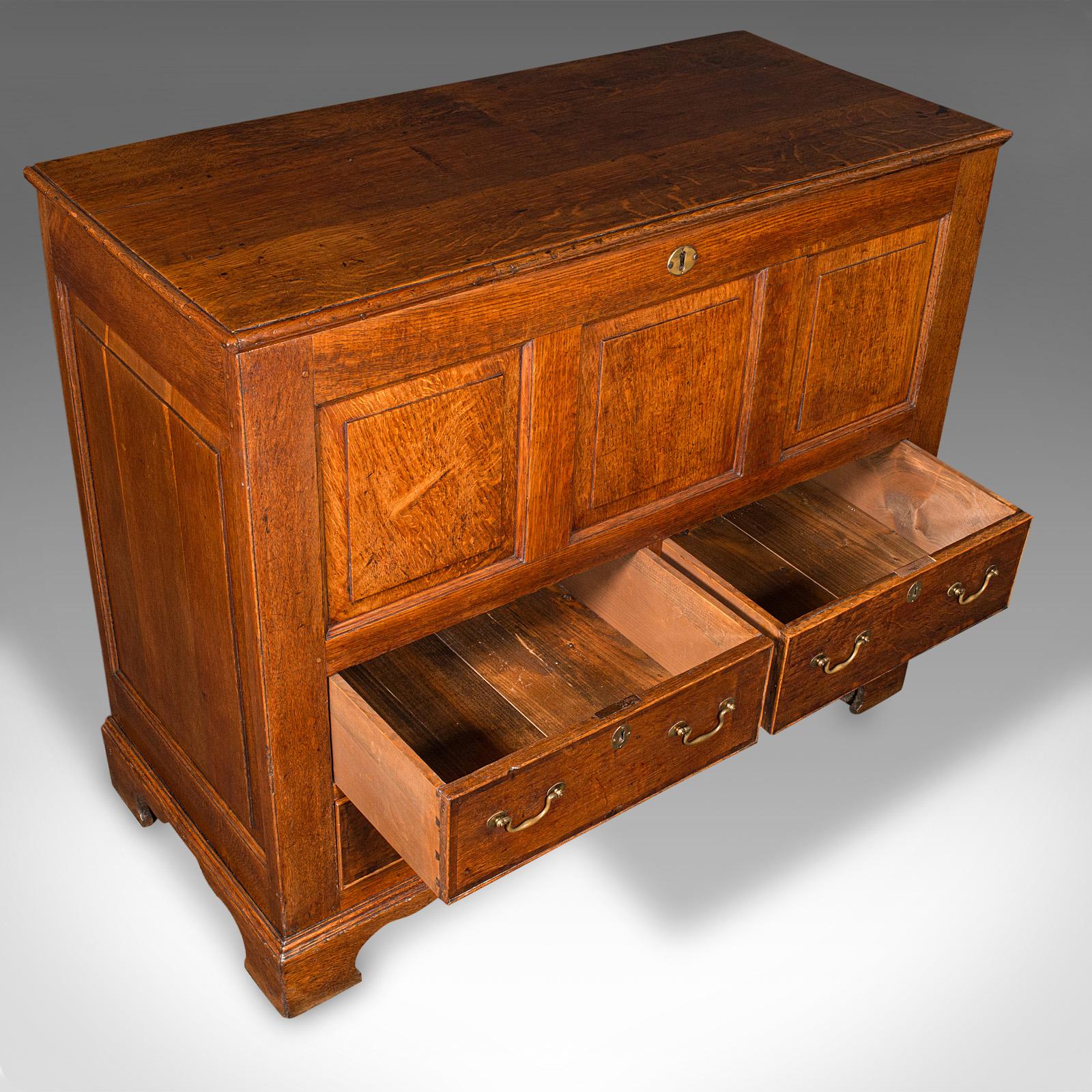 Large Antique Mule Chest, Georgian, Oak, Coffer Over Three Drawers, Circa 1780 For Sale 1