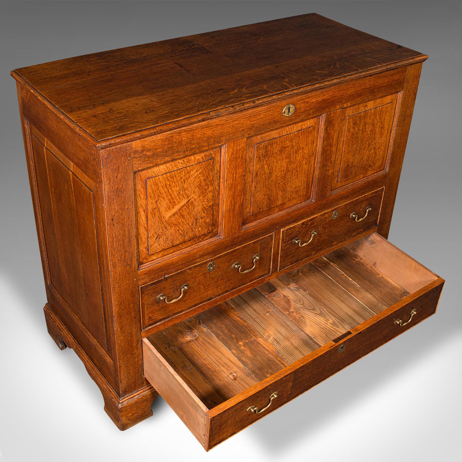 Large Antique Mule Chest, Georgian, Oak, Coffer Over Three Drawers, Circa 1780 For Sale 2