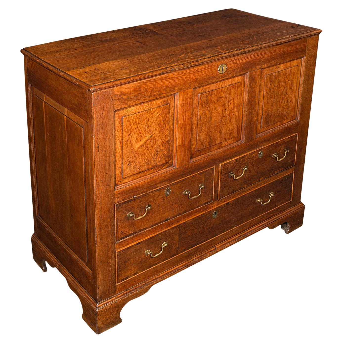 Large Antique Mule Chest, Georgian, Oak, Coffer Over Three Drawers, Circa 1780