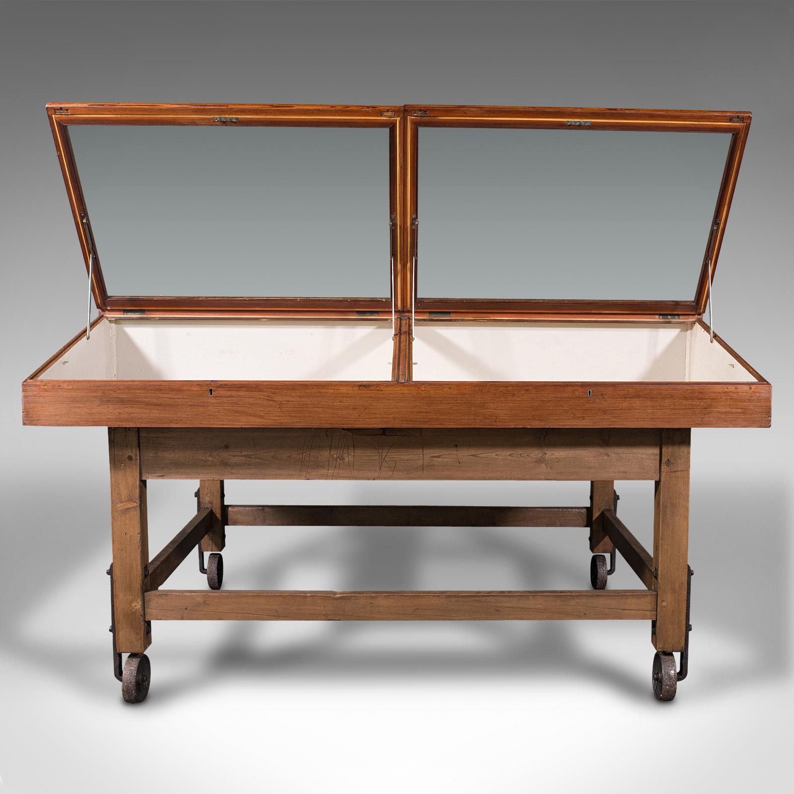 Large Antique Museum Showcase, English, Pitch Pine, Display Cabinet, Victorian In Good Condition In Hele, Devon, GB