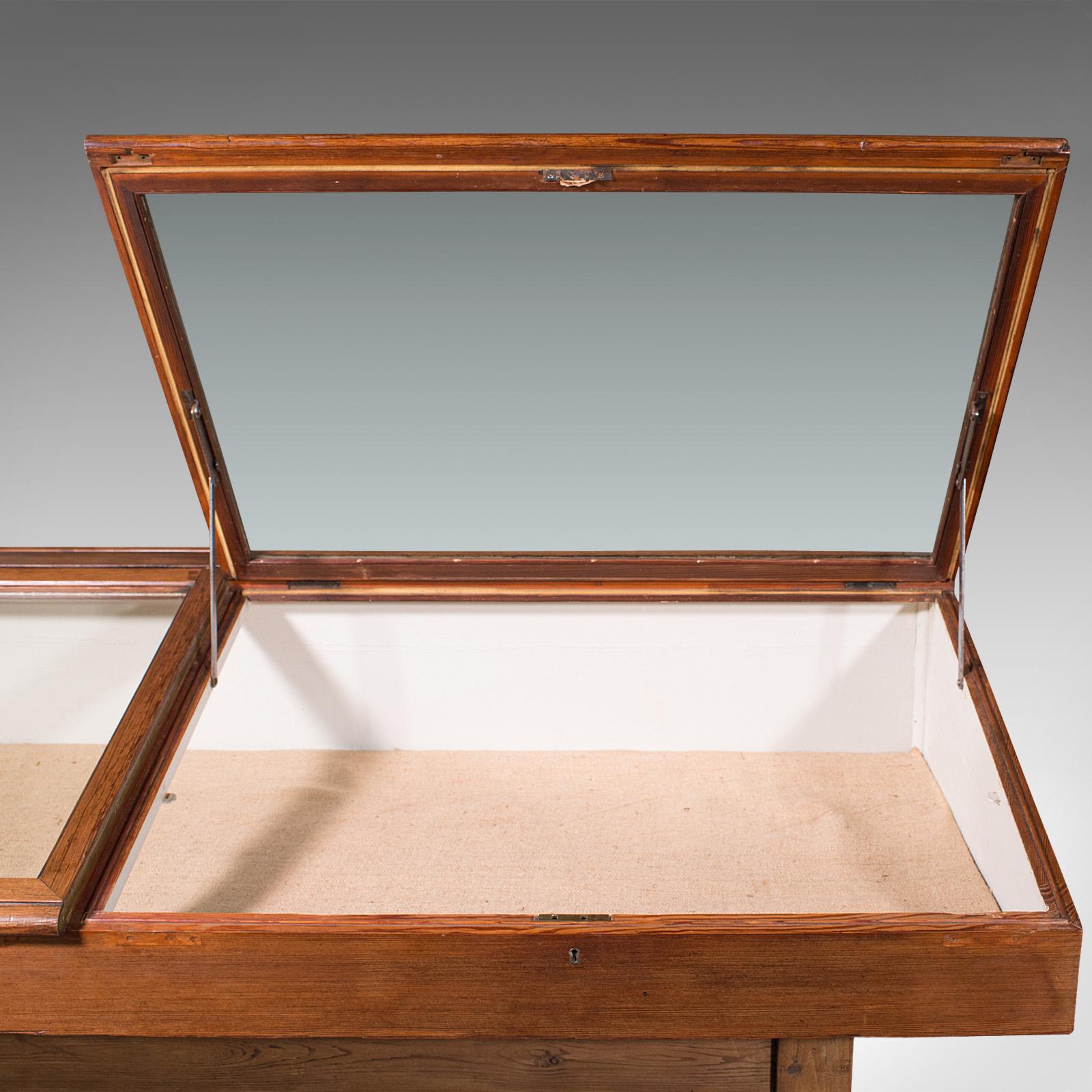 Large Antique Museum Showcase, English, Pitch Pine, Display Cabinet, Victorian 3