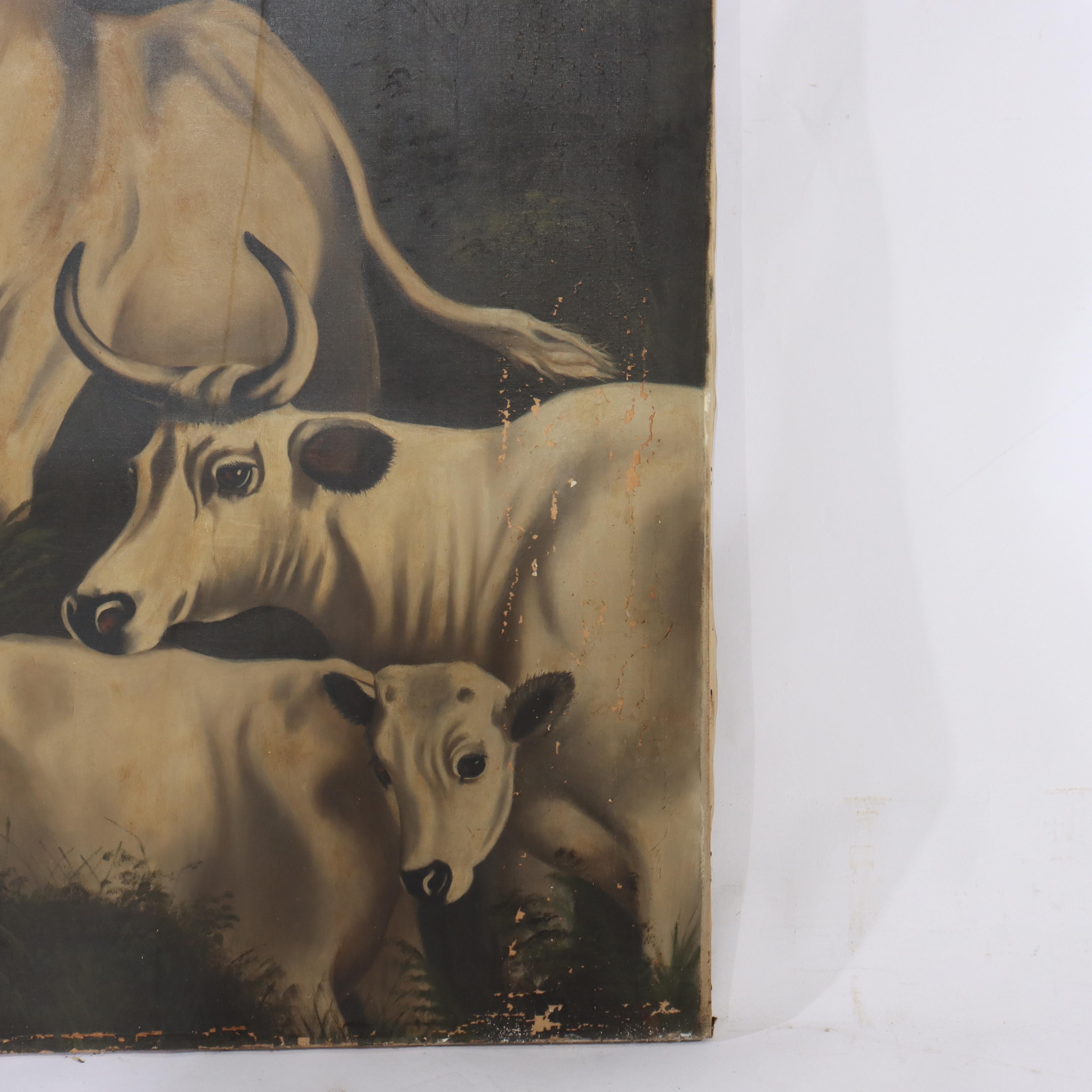 XX secolo Grande dipinto antico di manzi a tema western su tela C1900 in vendita