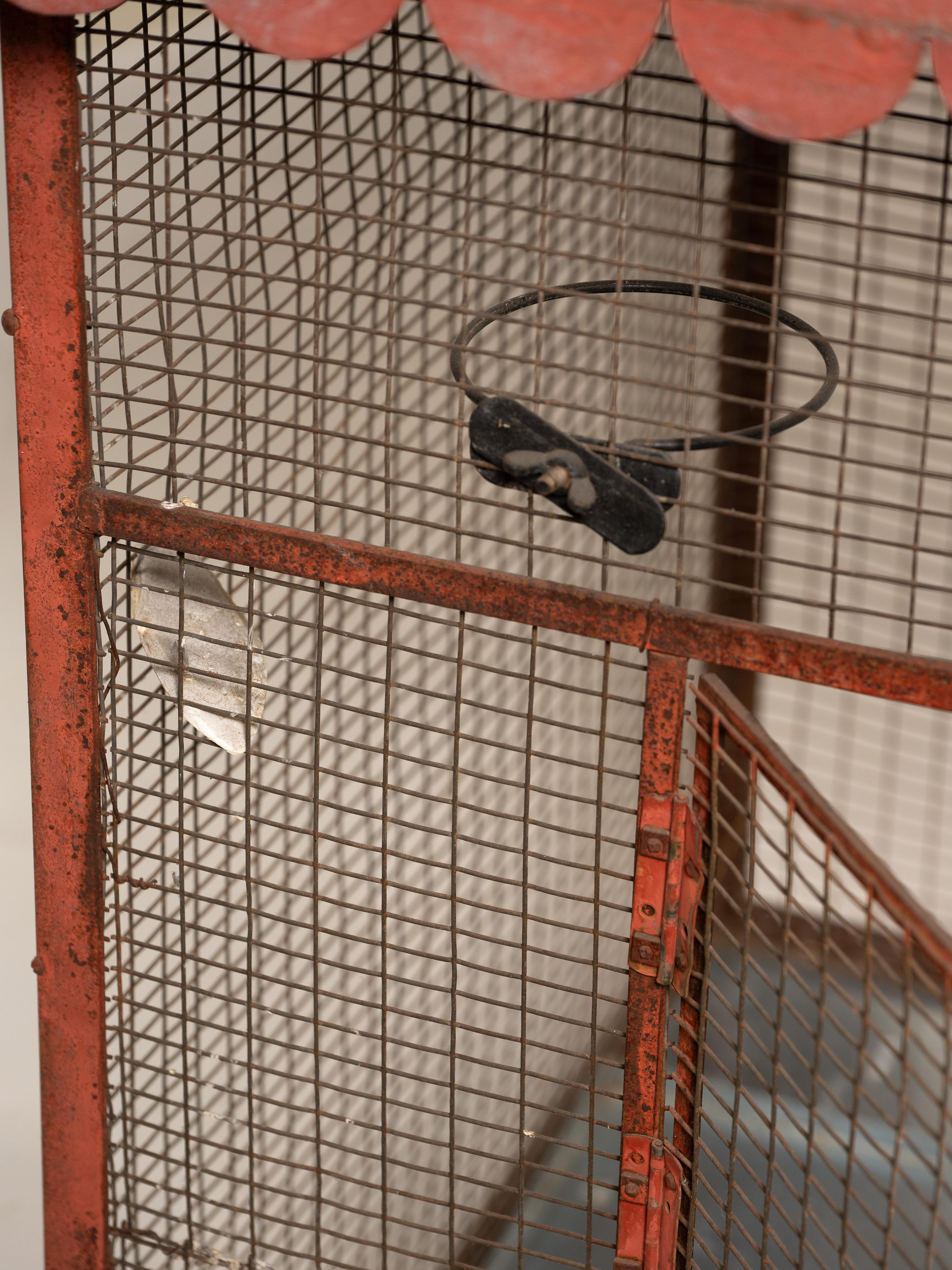 Grande cage à oiseaux ancienne en métal peint, France, début du 20e siècle en vente 3