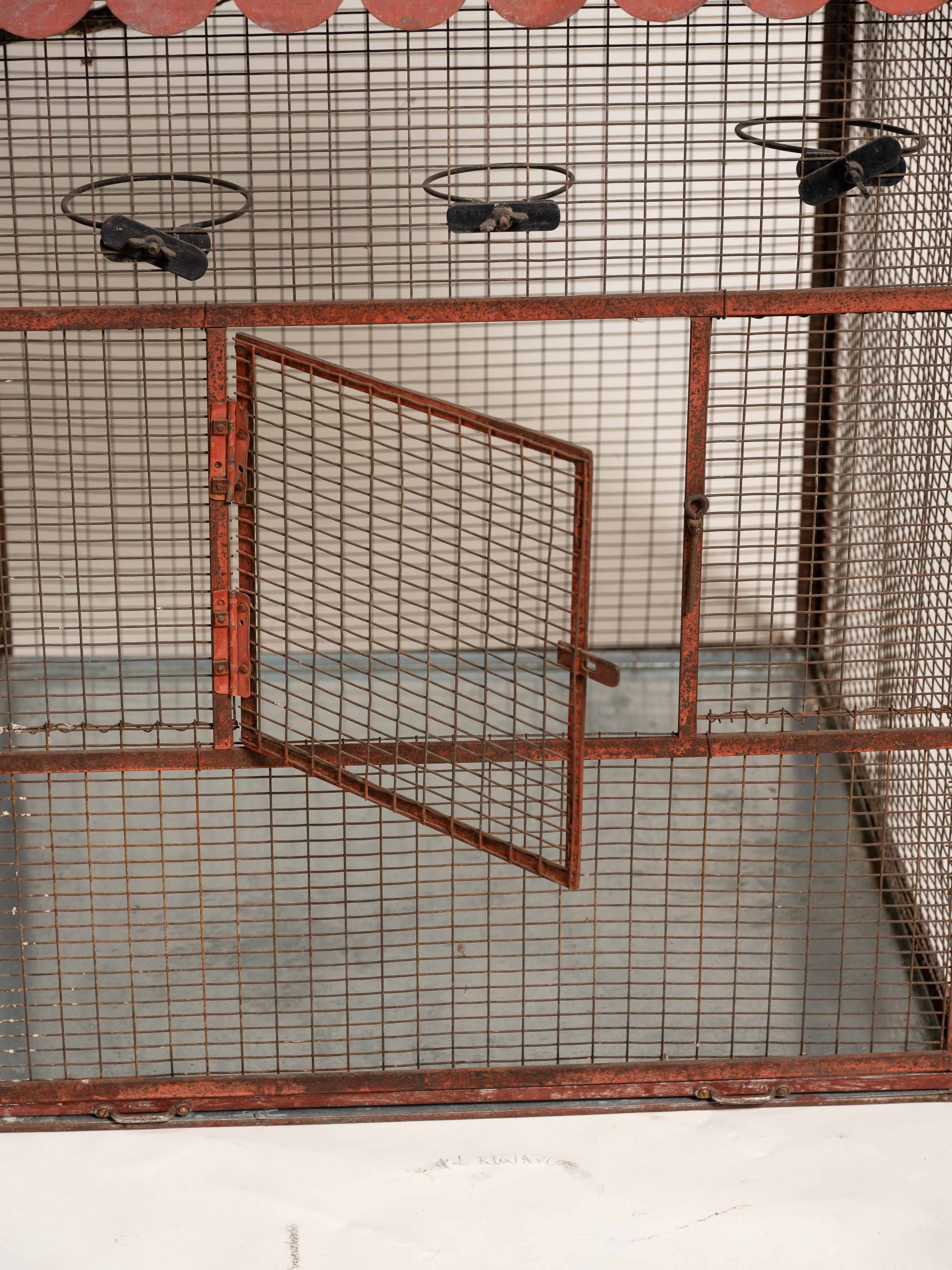 Grande cage à oiseaux ancienne en métal peint, France, début du 20e siècle en vente 5