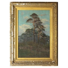 Large Antique Portrait of a Scots Pine Tree, Oil on Canvas, Early 20th Century 