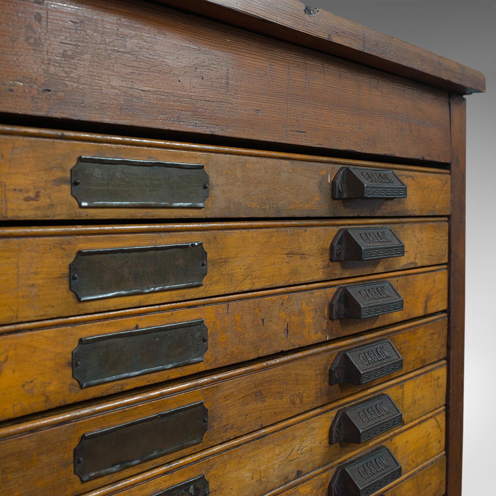 Large Antique Printer's Cabinet, Industrial, Plan Chest, Specimen, Art Vault 1