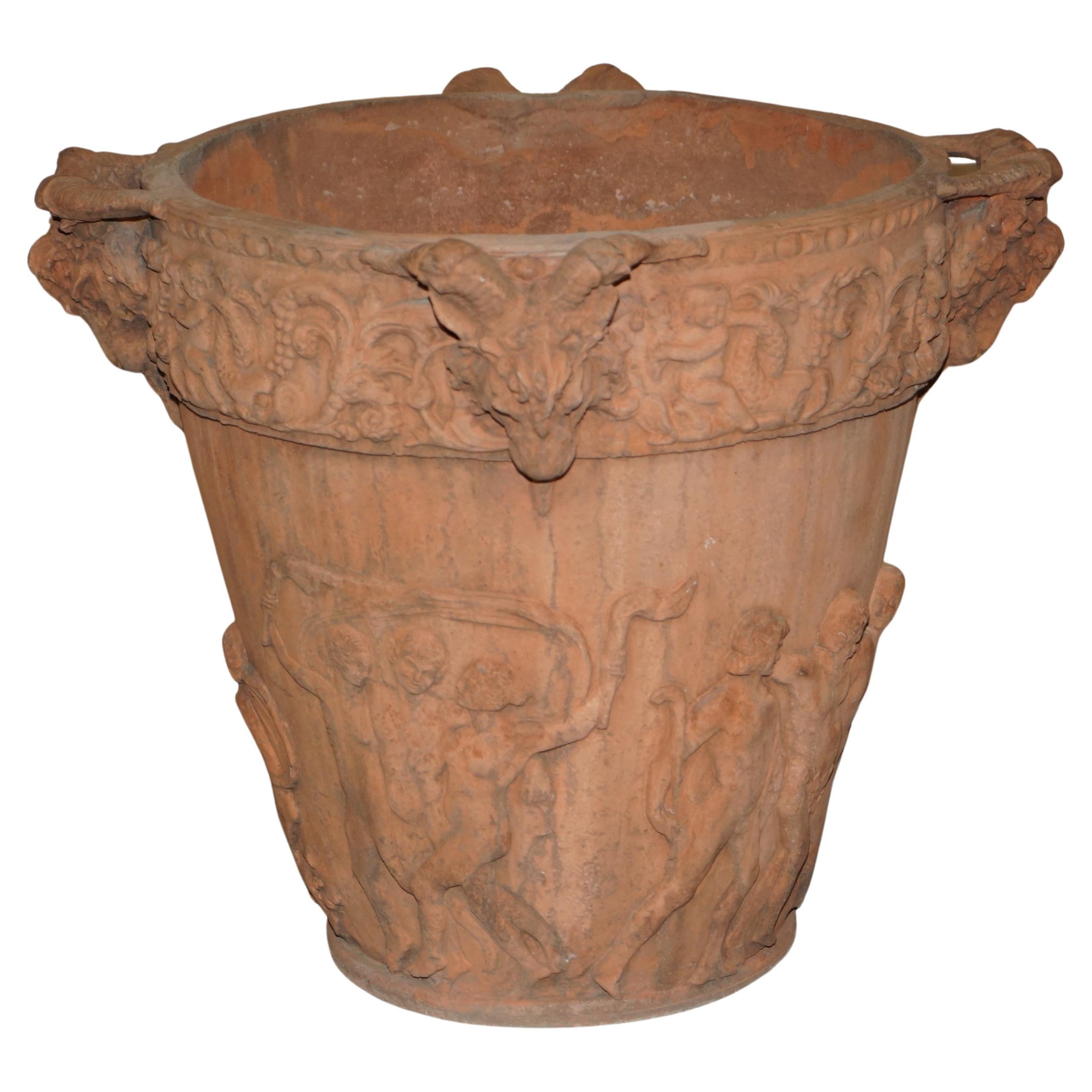 LARGE ANTIQUE RAMS HEAD & CHERUB PUTTI TERRACOTTA PLANTER 69CM HiGH 85CM WIDE For Sale