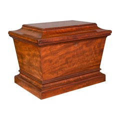 Gran Sarcófago Antiguo Cellarette, Inglés, Caoba, Enfriador de Vino, Regencia