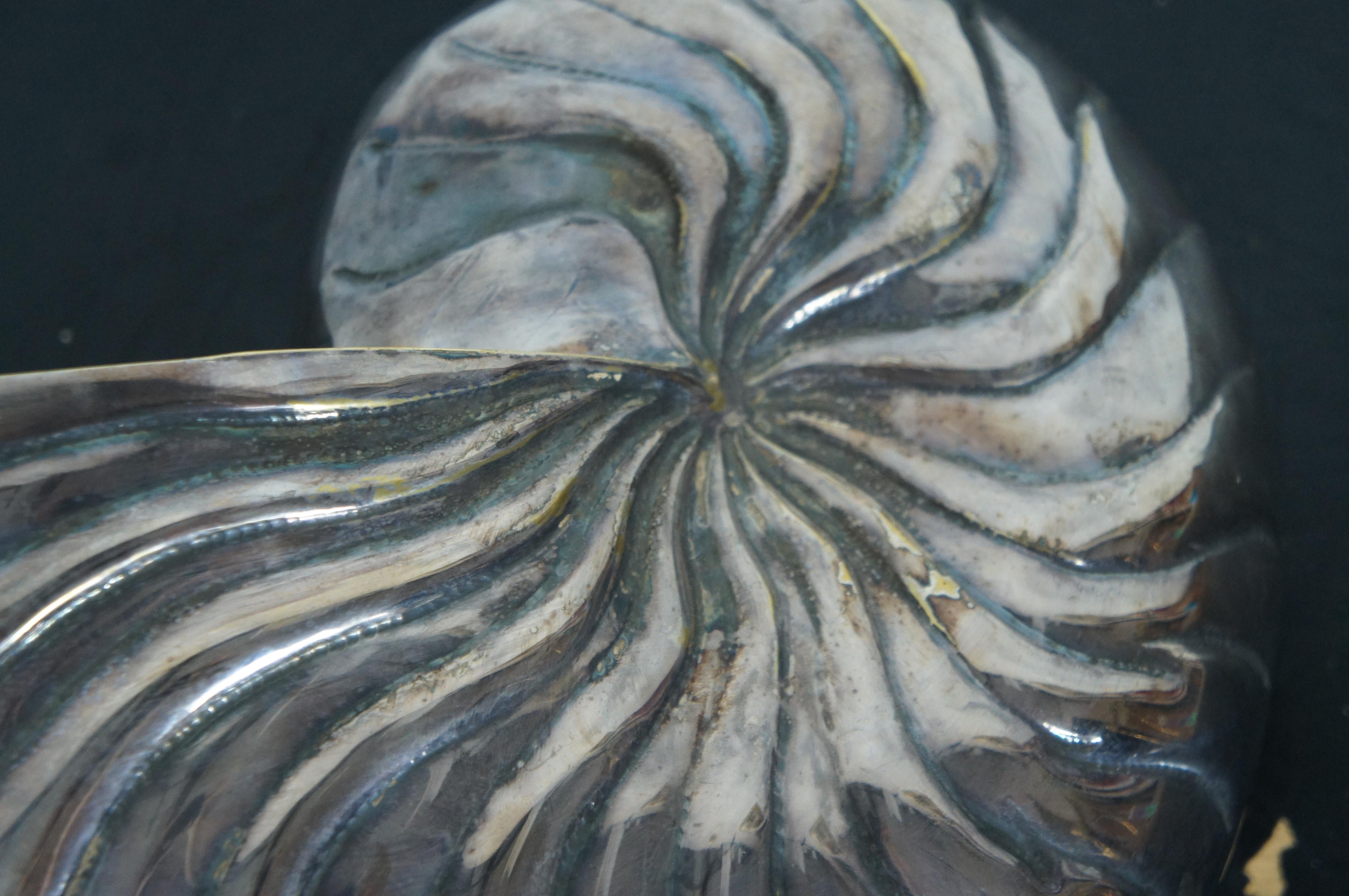 Large Antique Silver Plate Nautilus Spiral Sea Shell Spoon Warmer Cachepot 13