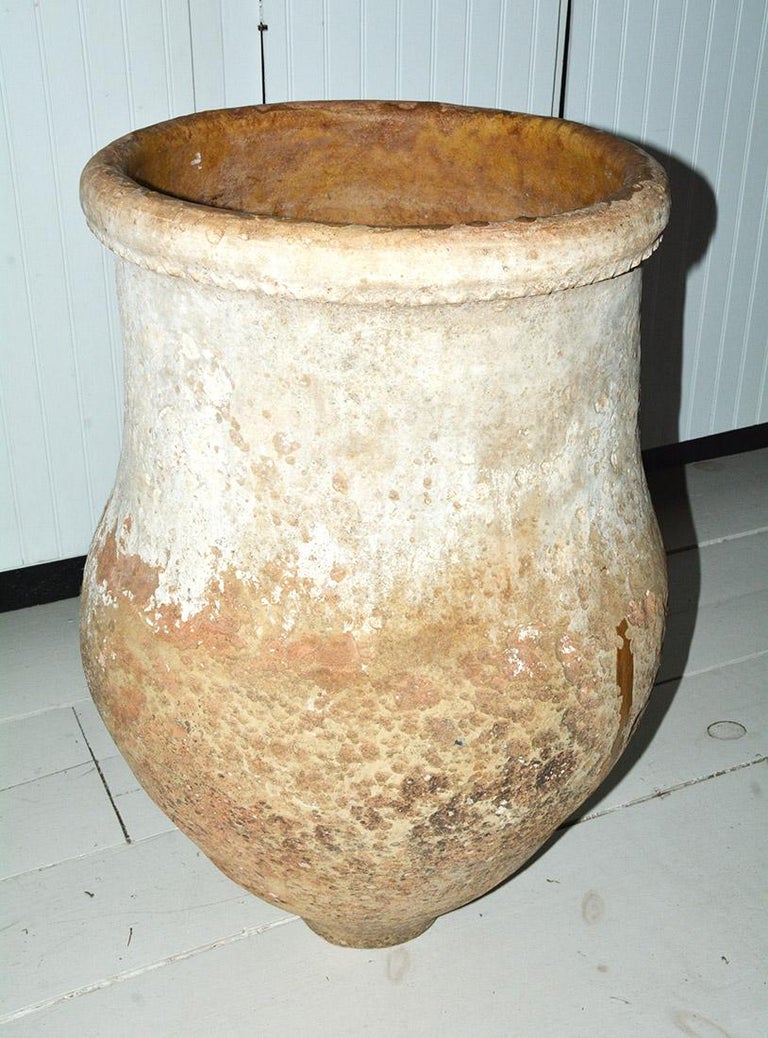 Large Antique Spanish Olive Storage Jar For Sale at 1stDibs antique