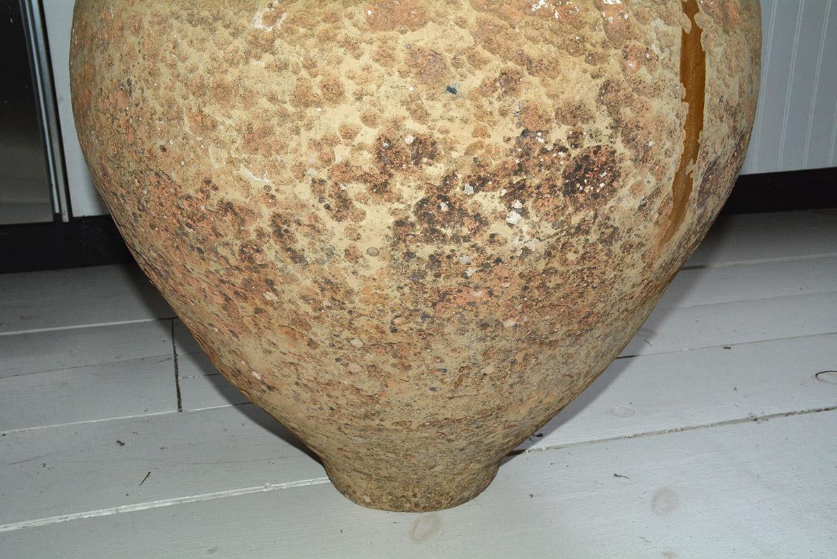 XIXe siècle Grand pot de stockage d'olivier espagnol ancien en vente