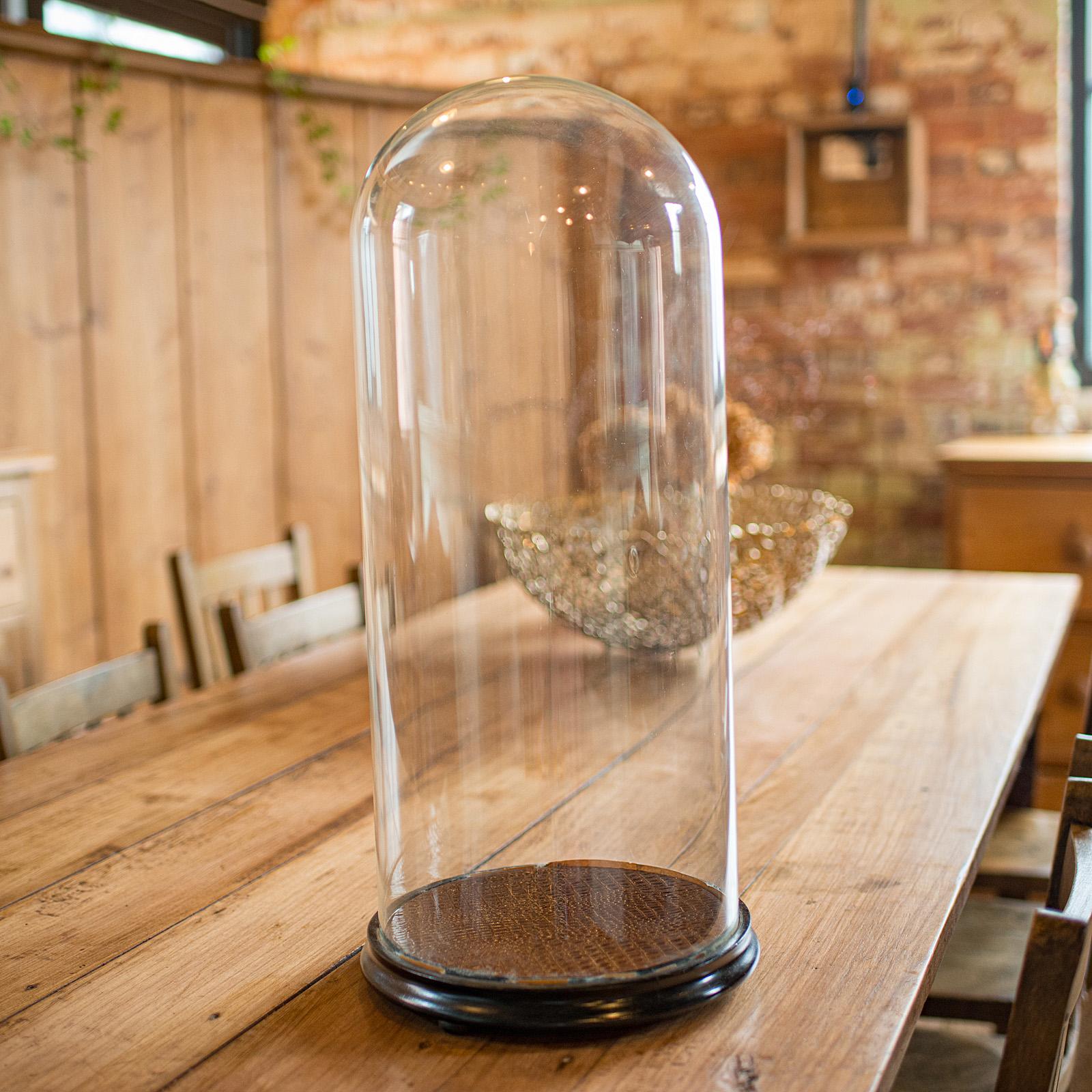 British Large Antique Specimen Display Dome, English Taxidermy Showcase, Victorian, 1870 For Sale