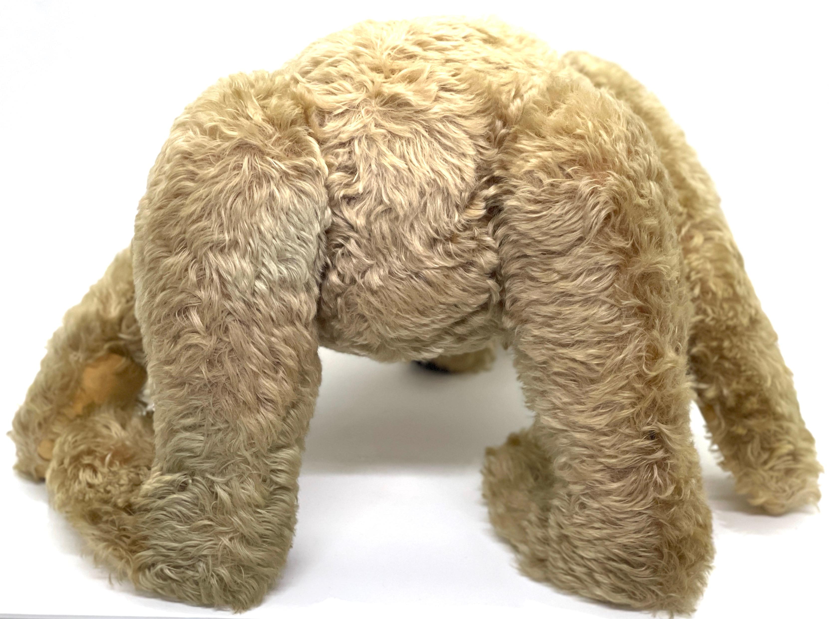 Large Antique Steiff Jointed Teddy Bear, circa 1920, 'Henry' 6