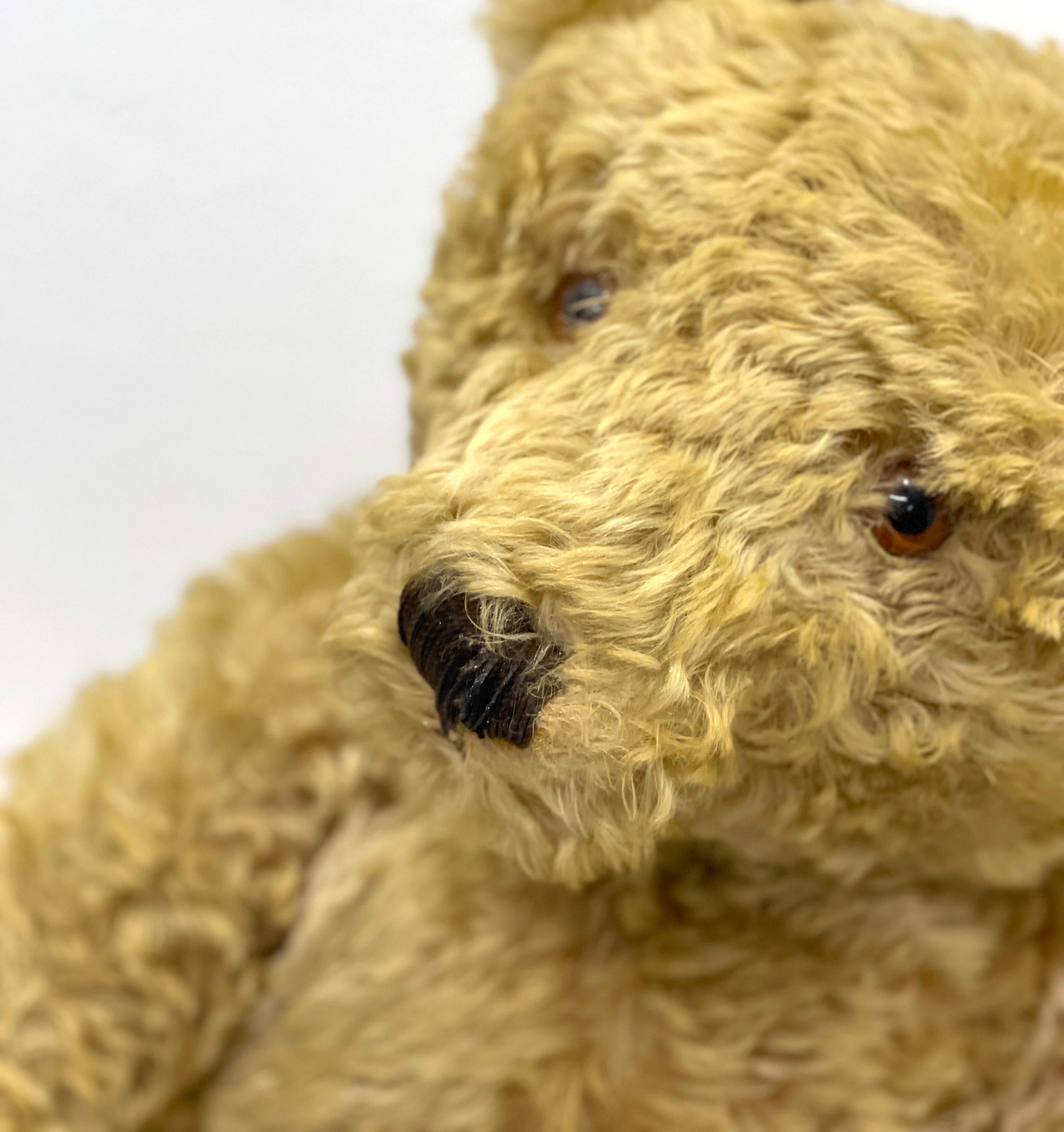 Large Antique Steiff Jointed Teddy Bear, circa 1920, 'Henry' 9