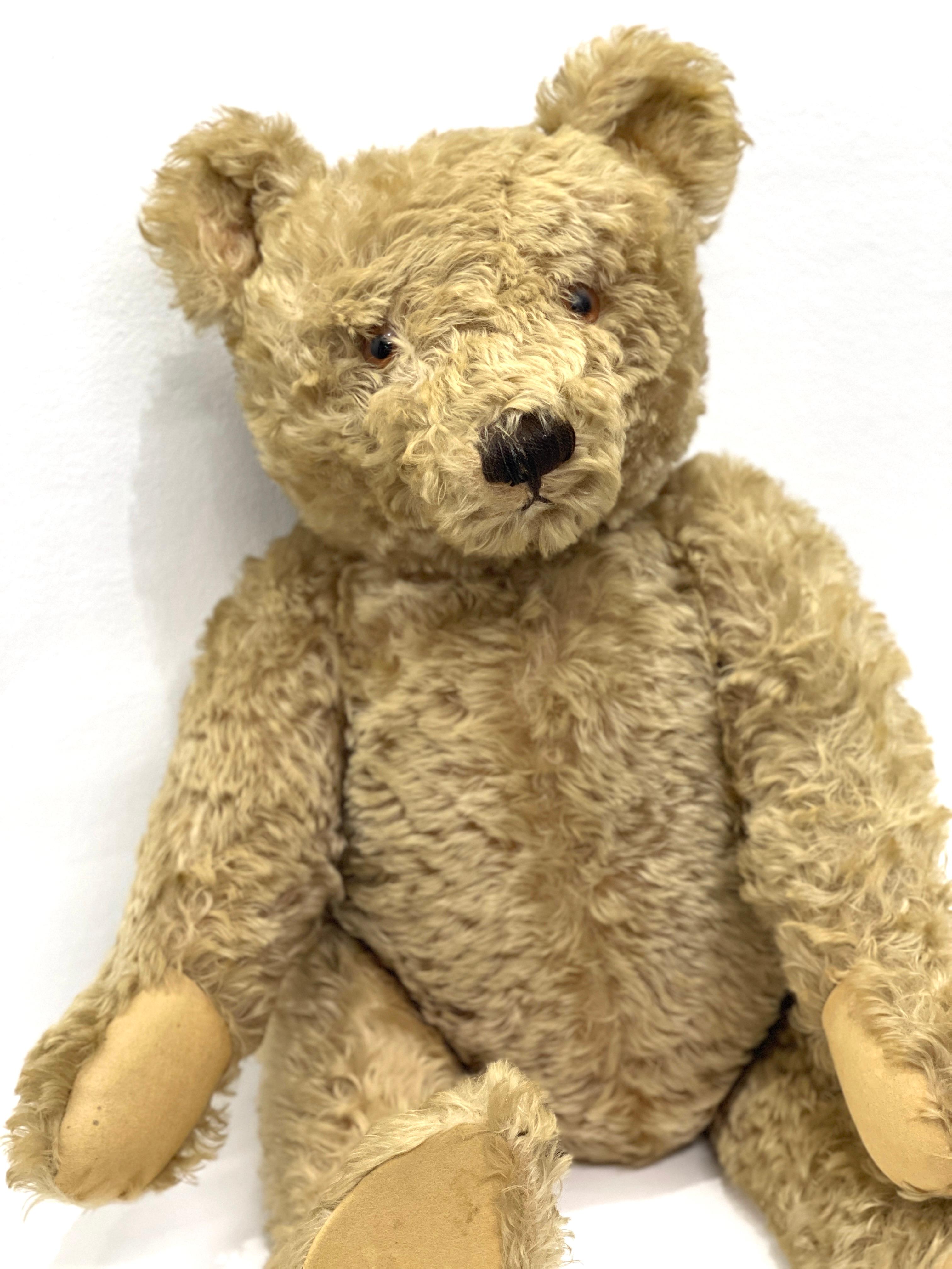 Large Antique Steiff Jointed Teddy Bear, circa 1920, 'Henry' 13