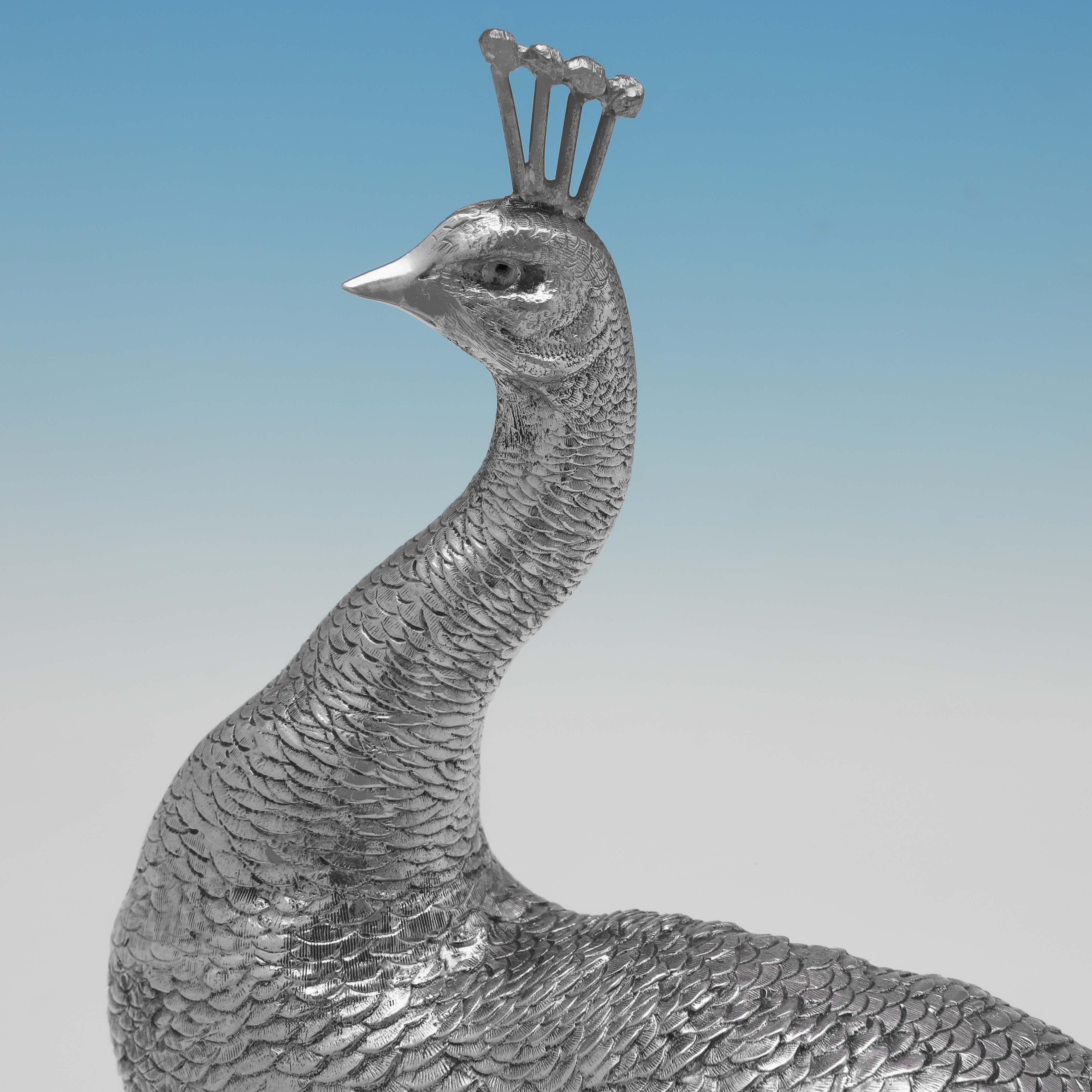 origin of peacock
