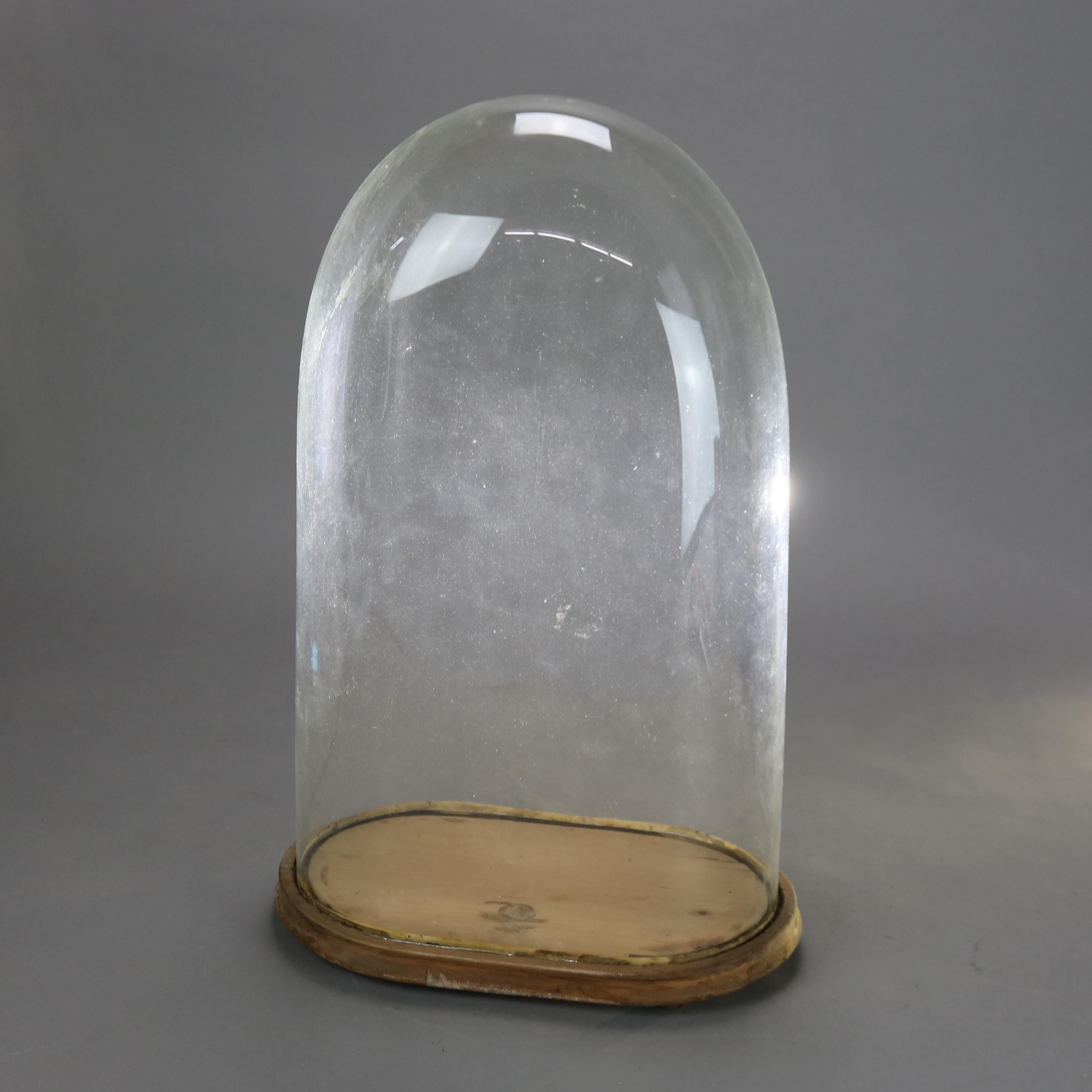 Large Antique Taxidermy Display Cloche C1900

Measures- 20.5