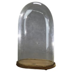 Large Antique Taxidermy Display Cloche C1900