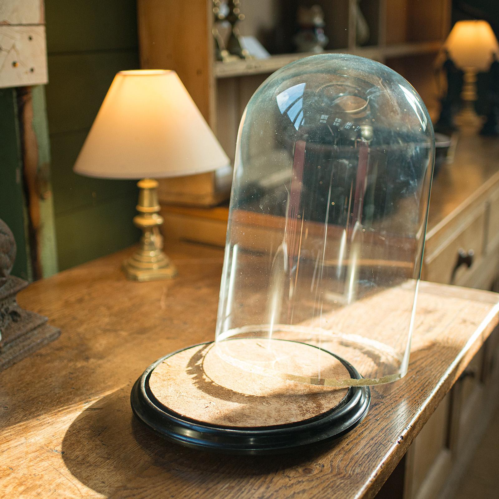 Large Antique Taxidermy Dome, English, Display Showcase, Late Victorian, C.1880 In Good Condition For Sale In Hele, Devon, GB