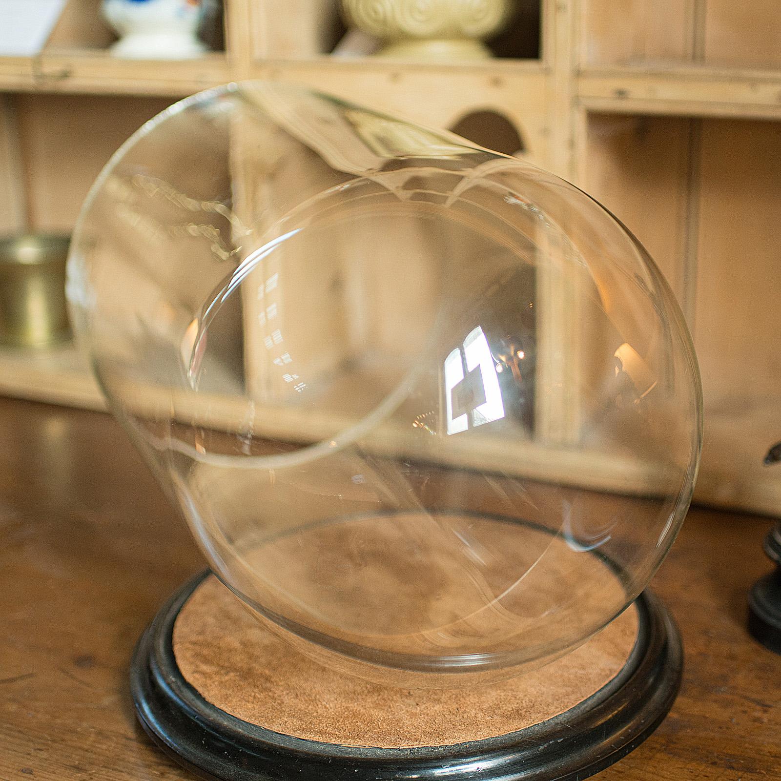 Glass Large Antique Taxidermy Dome, English, Display Showcase, Late Victorian, C.1880 For Sale
