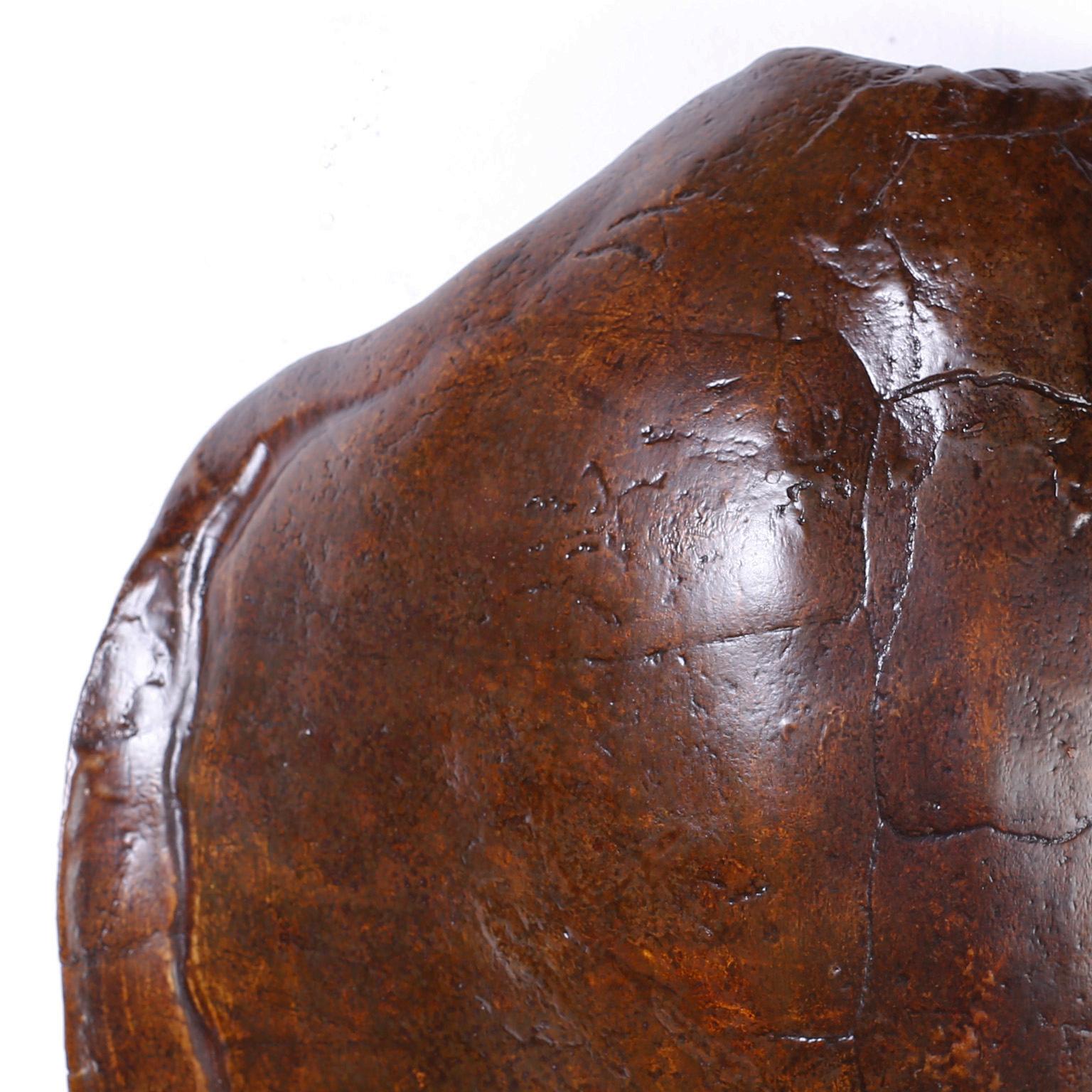 Antique turtle shell with familiar iconic patterns and form that are complete with a plaque detailing its early 20th century history.