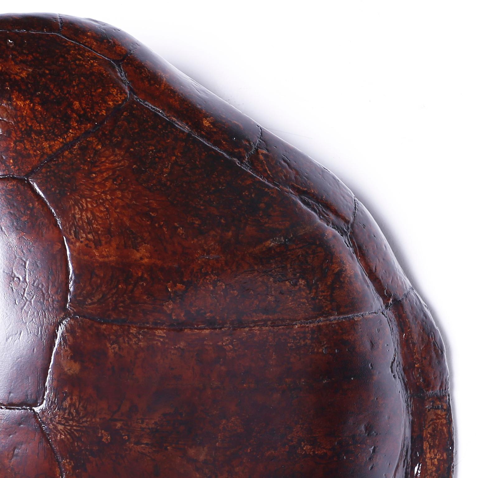 British Colonial Large Antique Turtle Shell