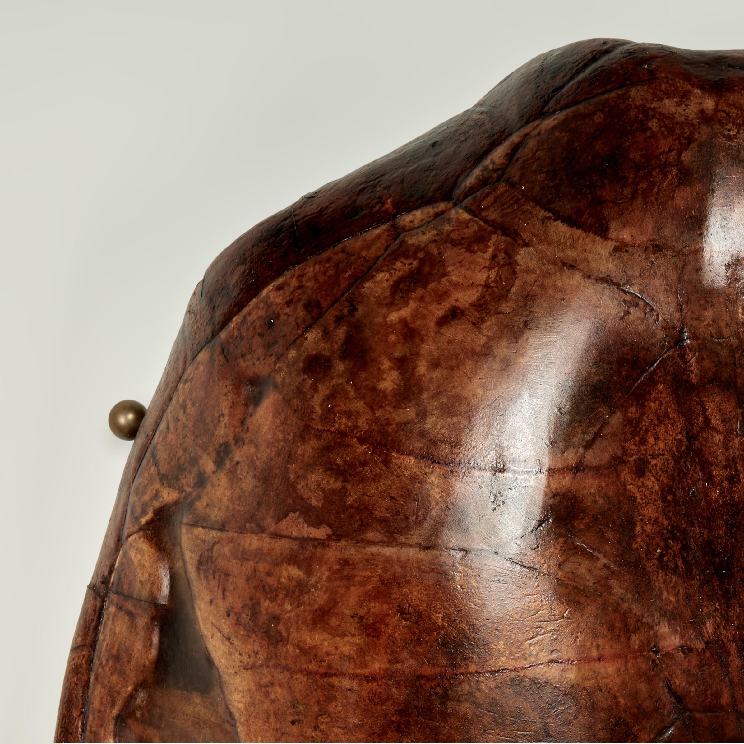 Victorian Large Antique Turtle Shell For Sale