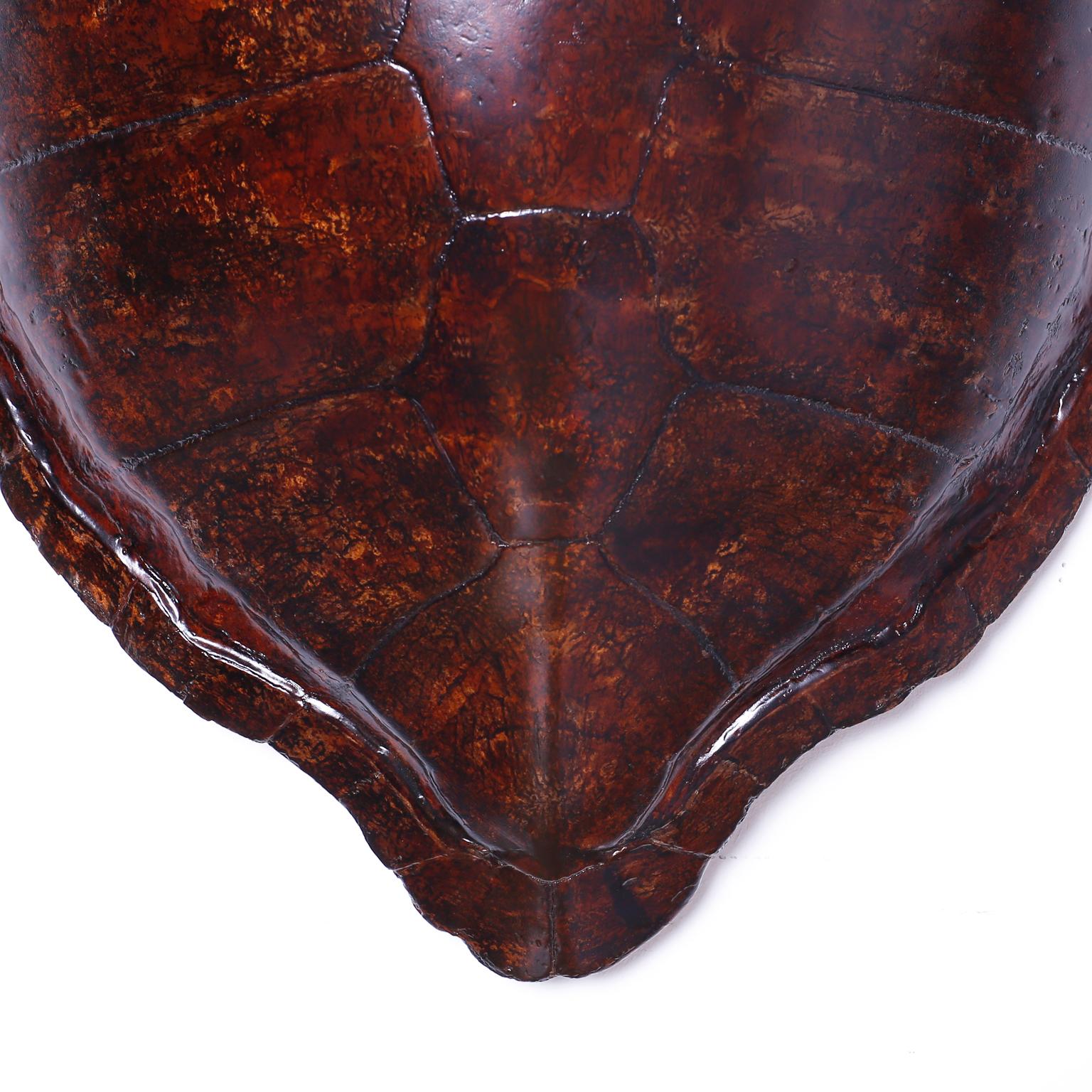 American Large Antique Turtle Shell