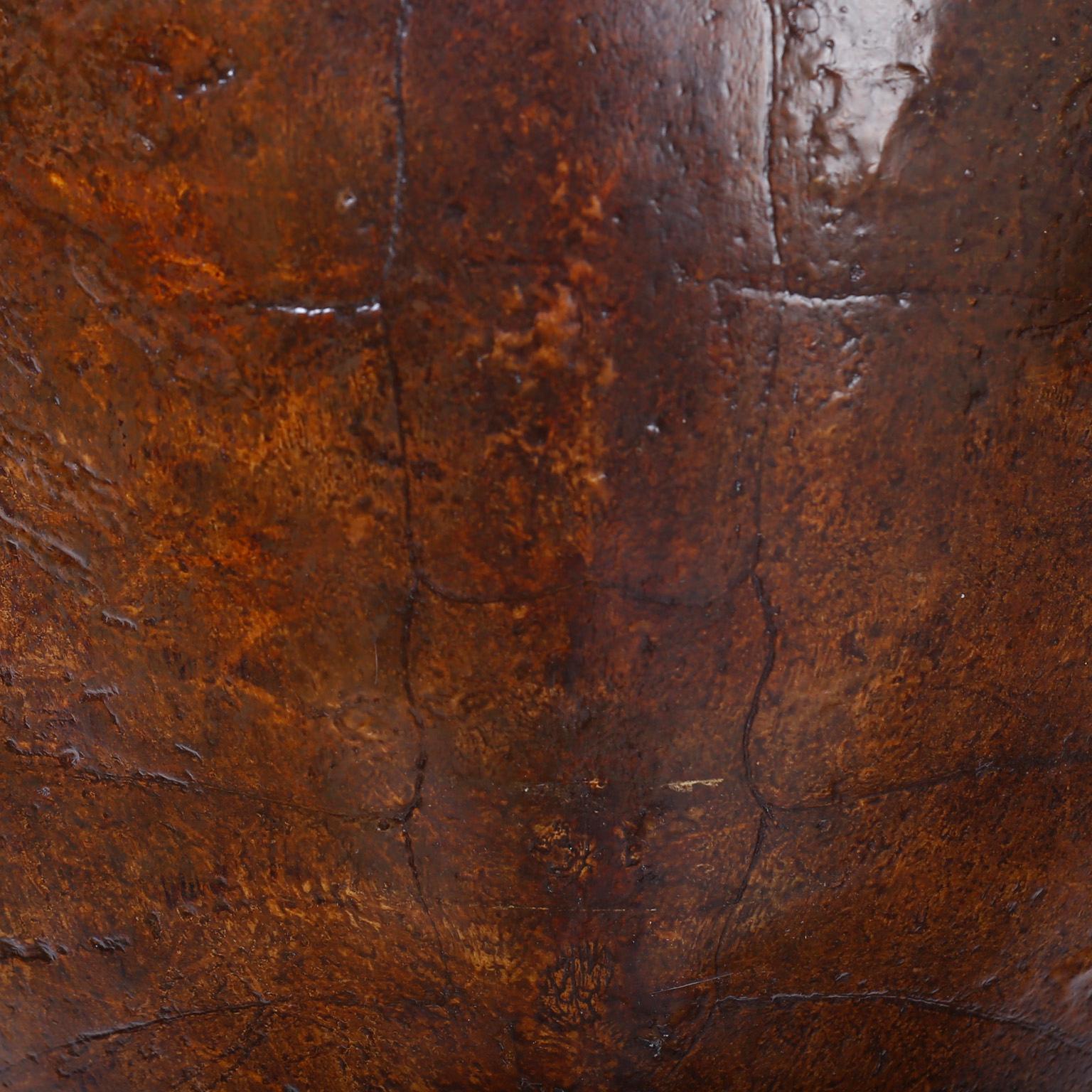 Philippine Large Antique Turtle Shell
