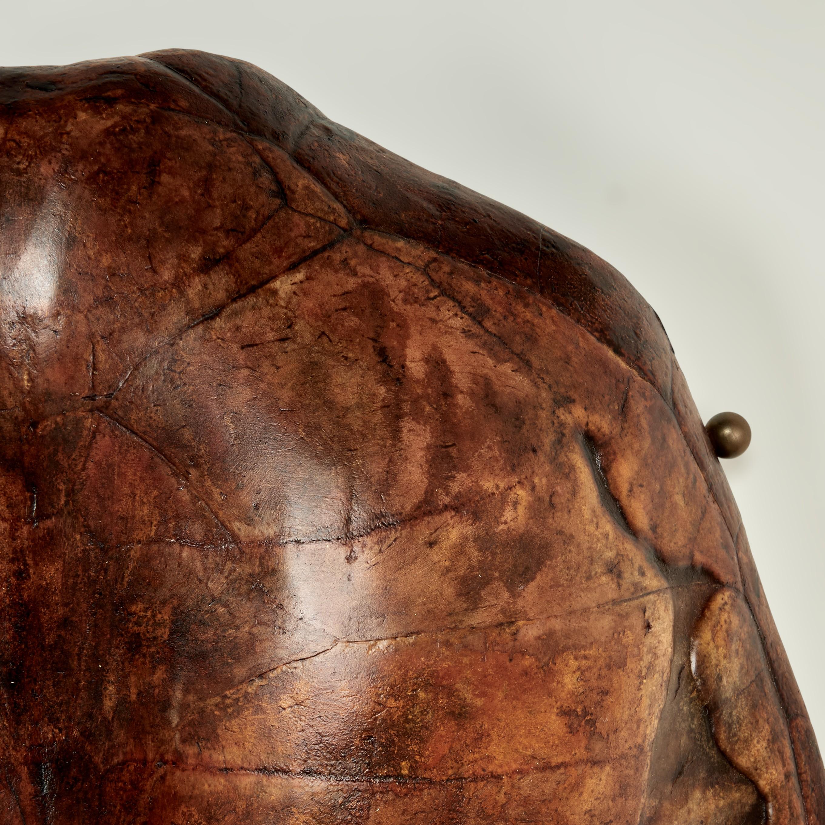 Large Antique Turtle Shell In Good Condition For Sale In Palm Beach, FL