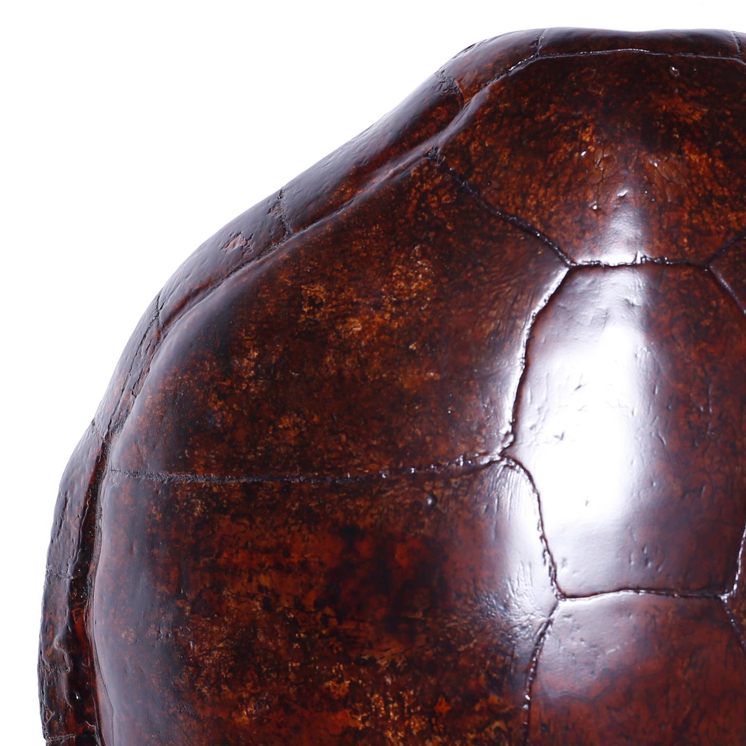 19th Century Large Antique Turtle Shell