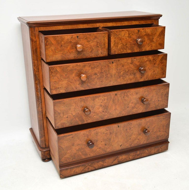Large Antique Victorian Burr Walnut Chest Of Drawers At 1stdibs