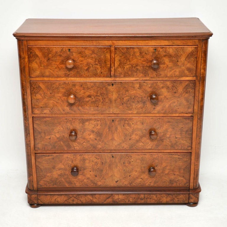 Large Antique Victorian Burr Walnut Chest of Drawers For Sale at 1stdibs