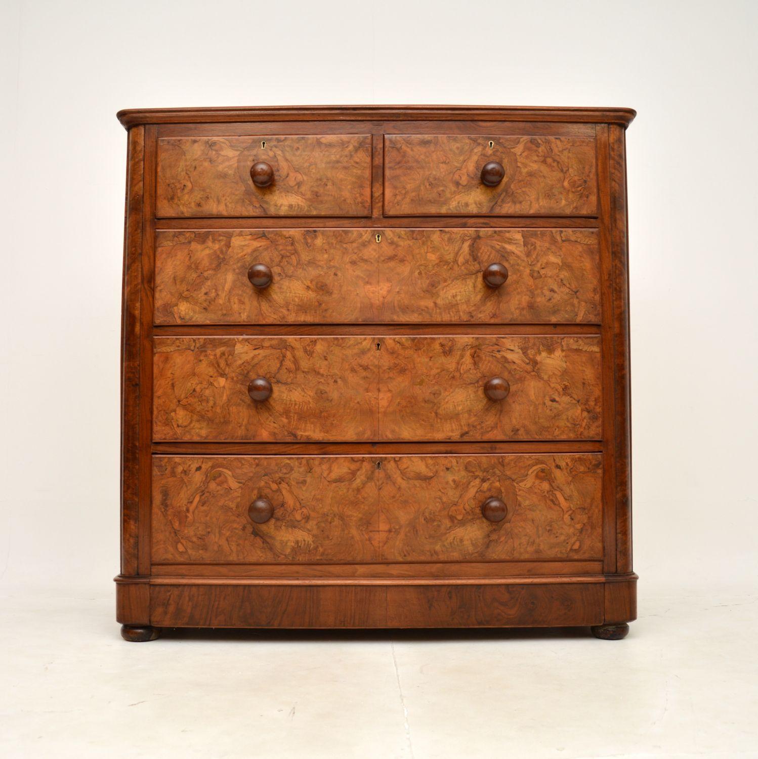 High Victorian Large Antique Victorian Burr Walnut Chest of Drawers