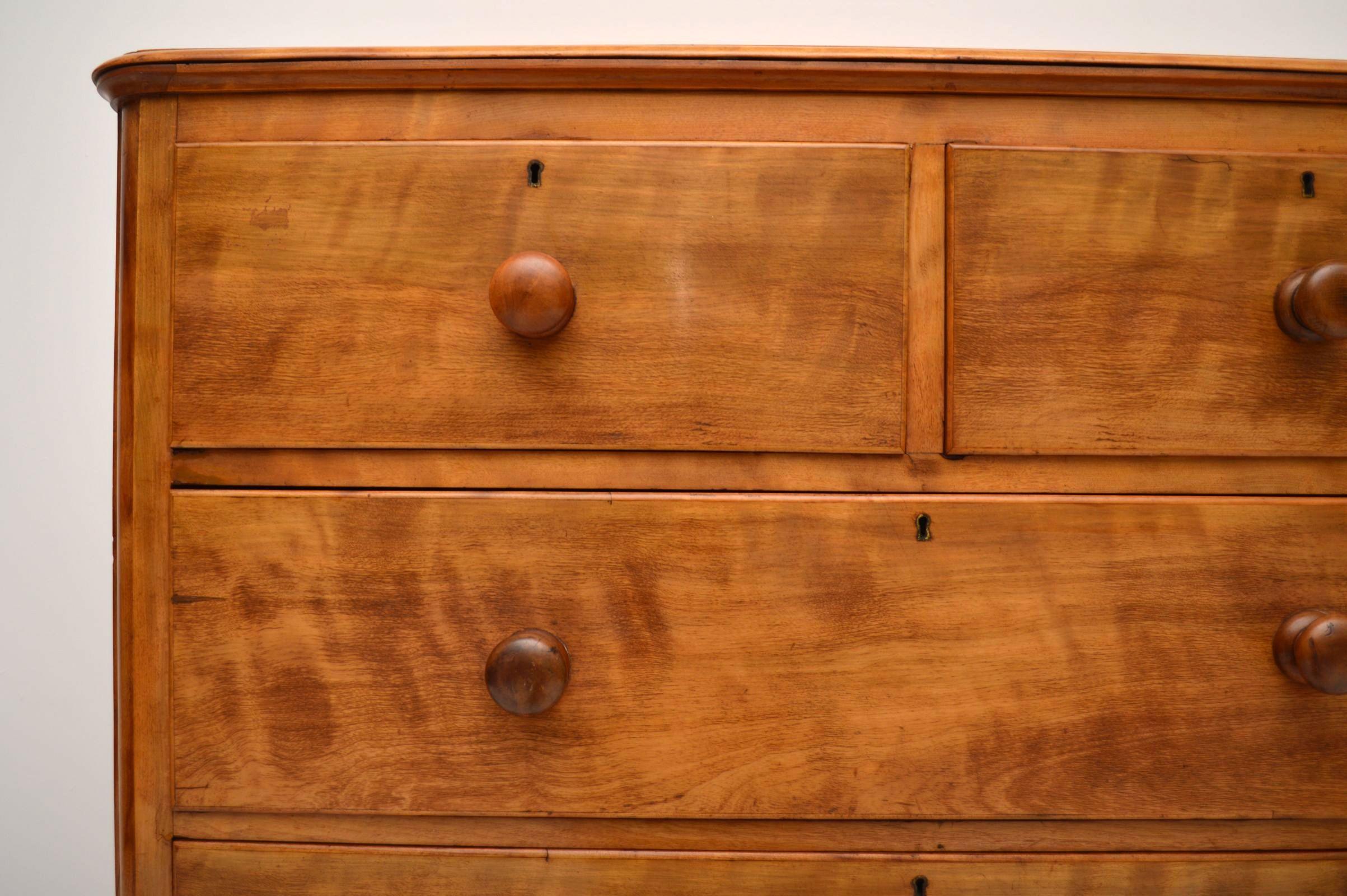 English Large Antique Victorian Satinwood Chest of Drawers