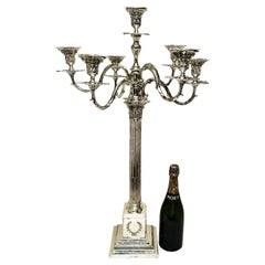 Candelabri in metallo