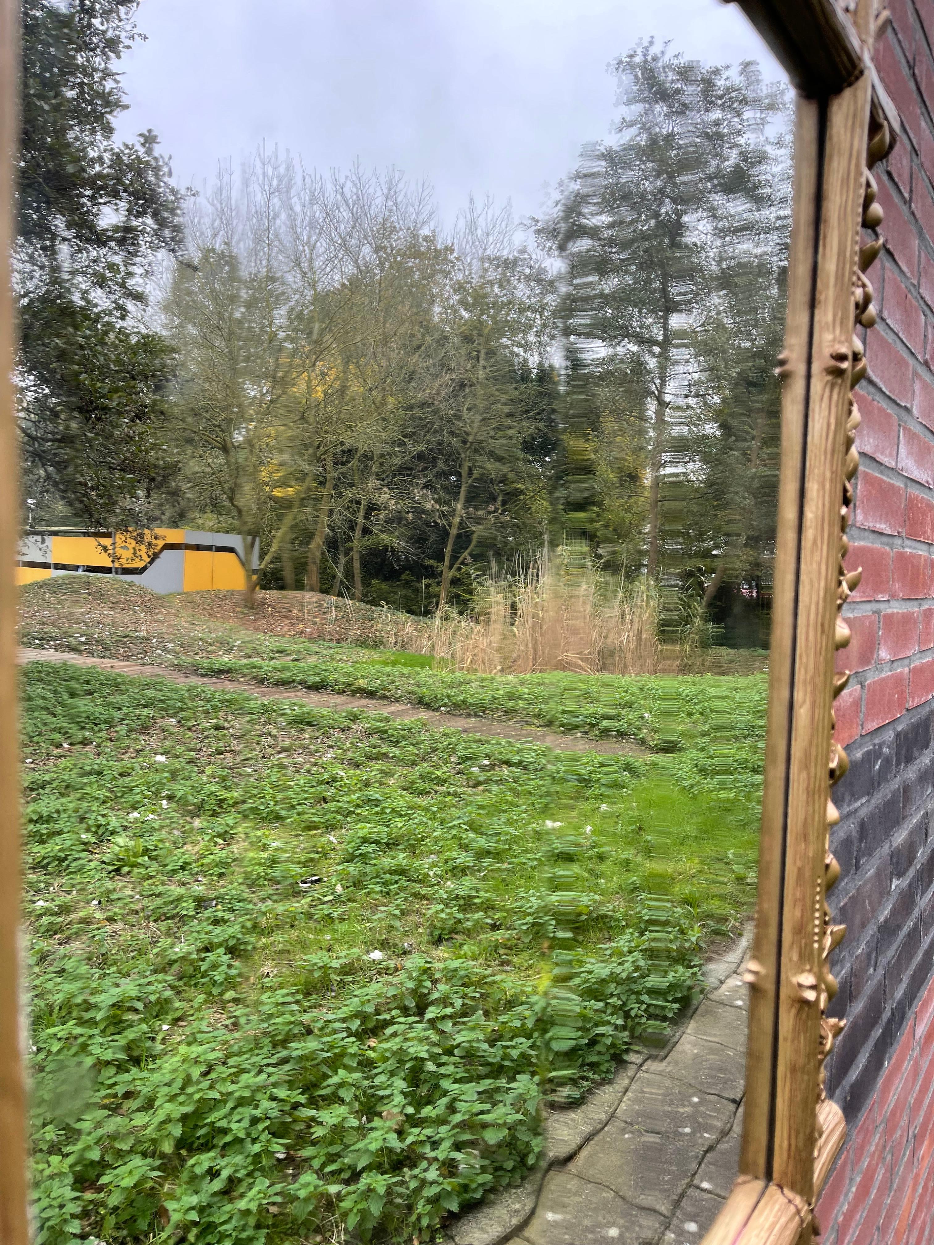 Grand miroir mural ancien dans un étonnant cadre sculpté à la main avec des branches et des feuilles en vente 8