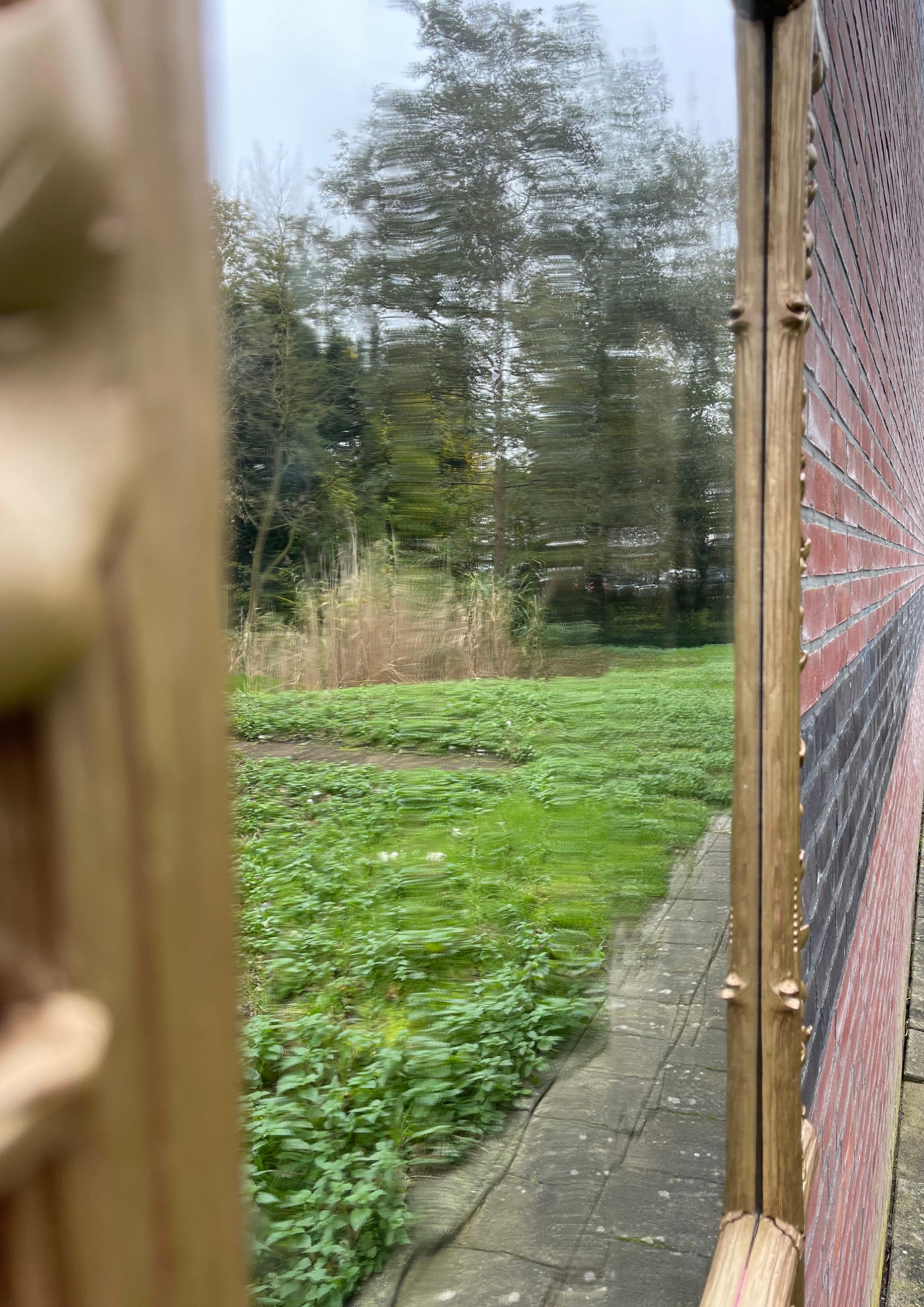 Européen Grand miroir mural ancien dans un étonnant cadre sculpté à la main avec des branches et des feuilles en vente