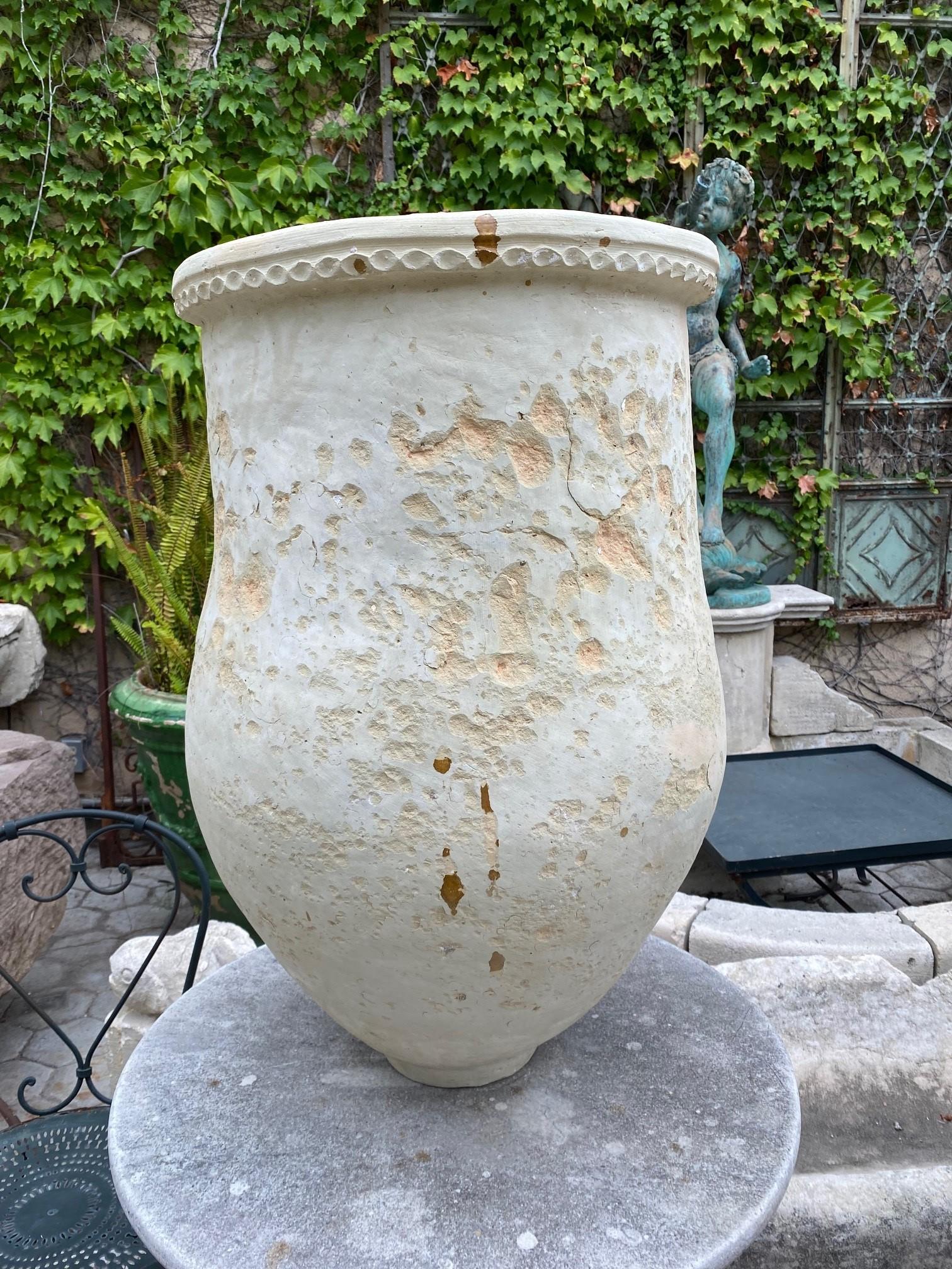 XIXe siècle Grand pot à huile en terre cuite blanche antique pour olives, vendeur d'urnes de jardin et jardinière, LA CA