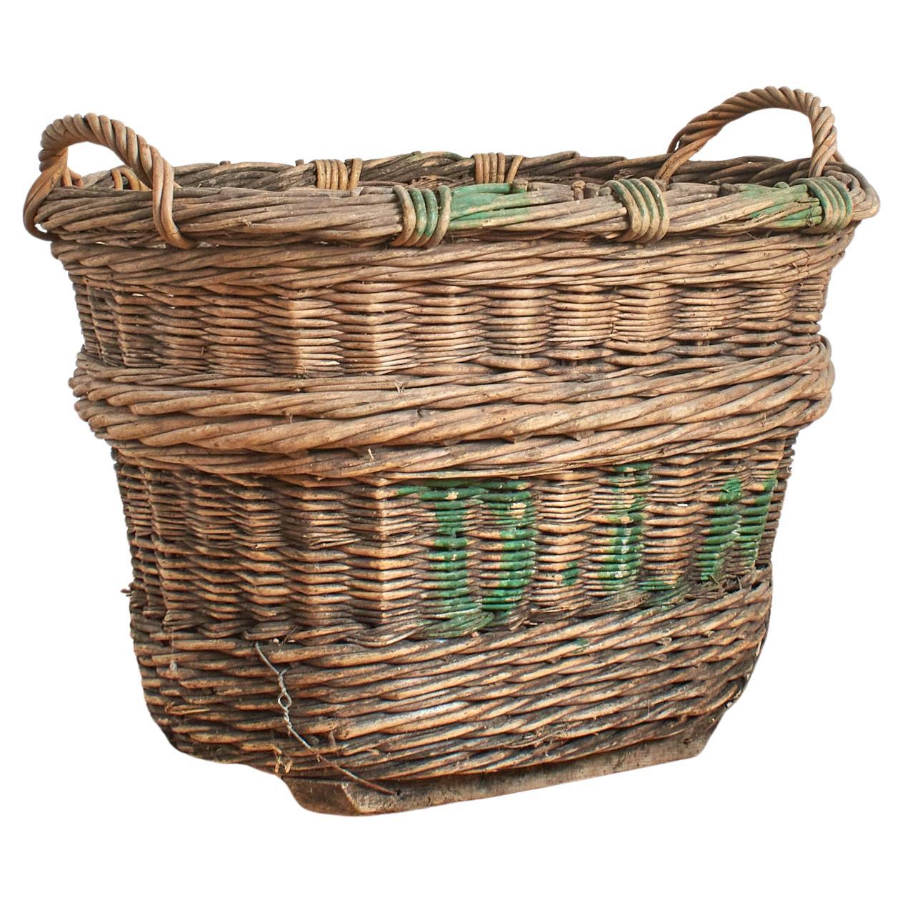 Grande cesto di vimini francese per la vendemmia dell'uva di champagne