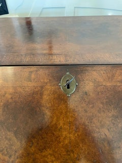 Large Antique William and Mary Burr Walnut Herringbone Inlaid Two Part Bureau