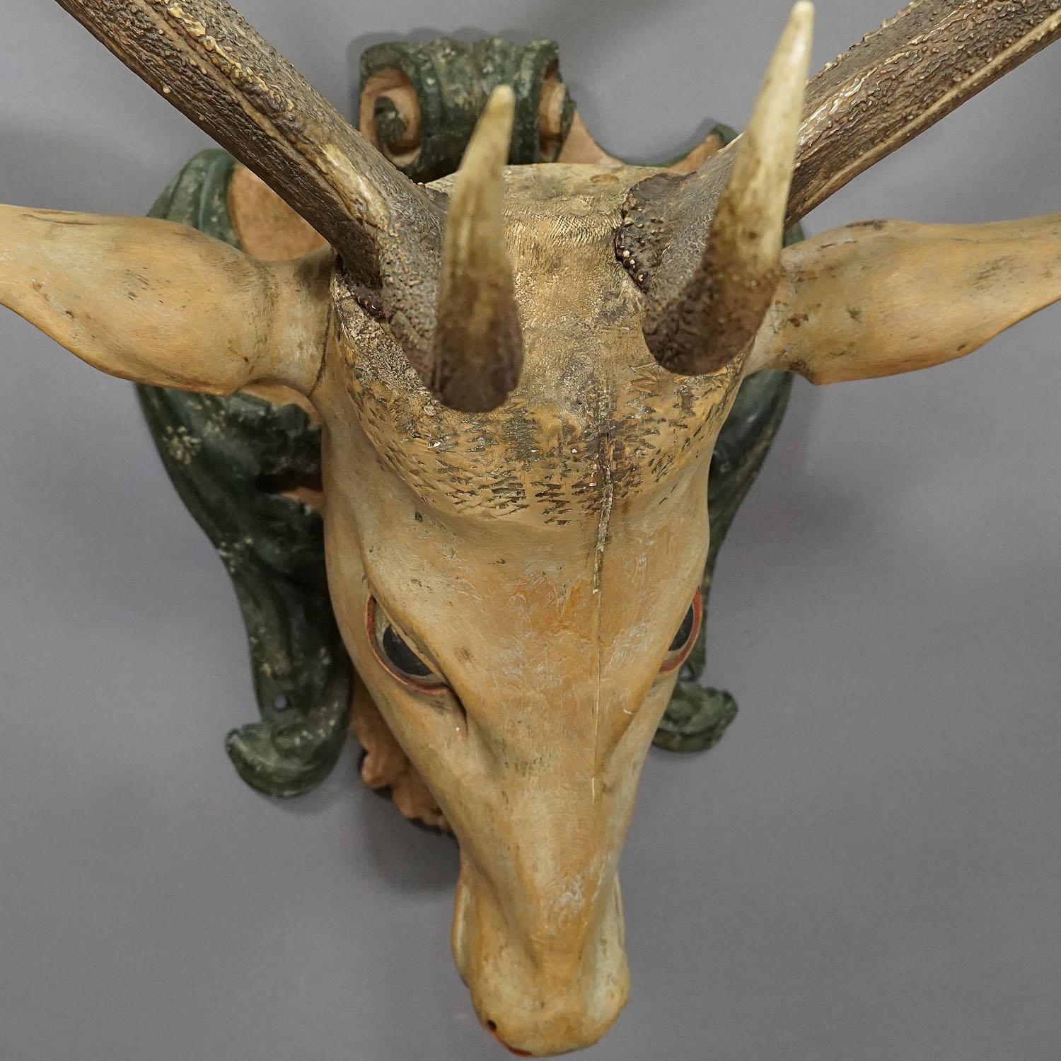 Large Antique Wooden Carved Black Forest Baroque Stag Head with 10 Point Trophy For Sale 2
