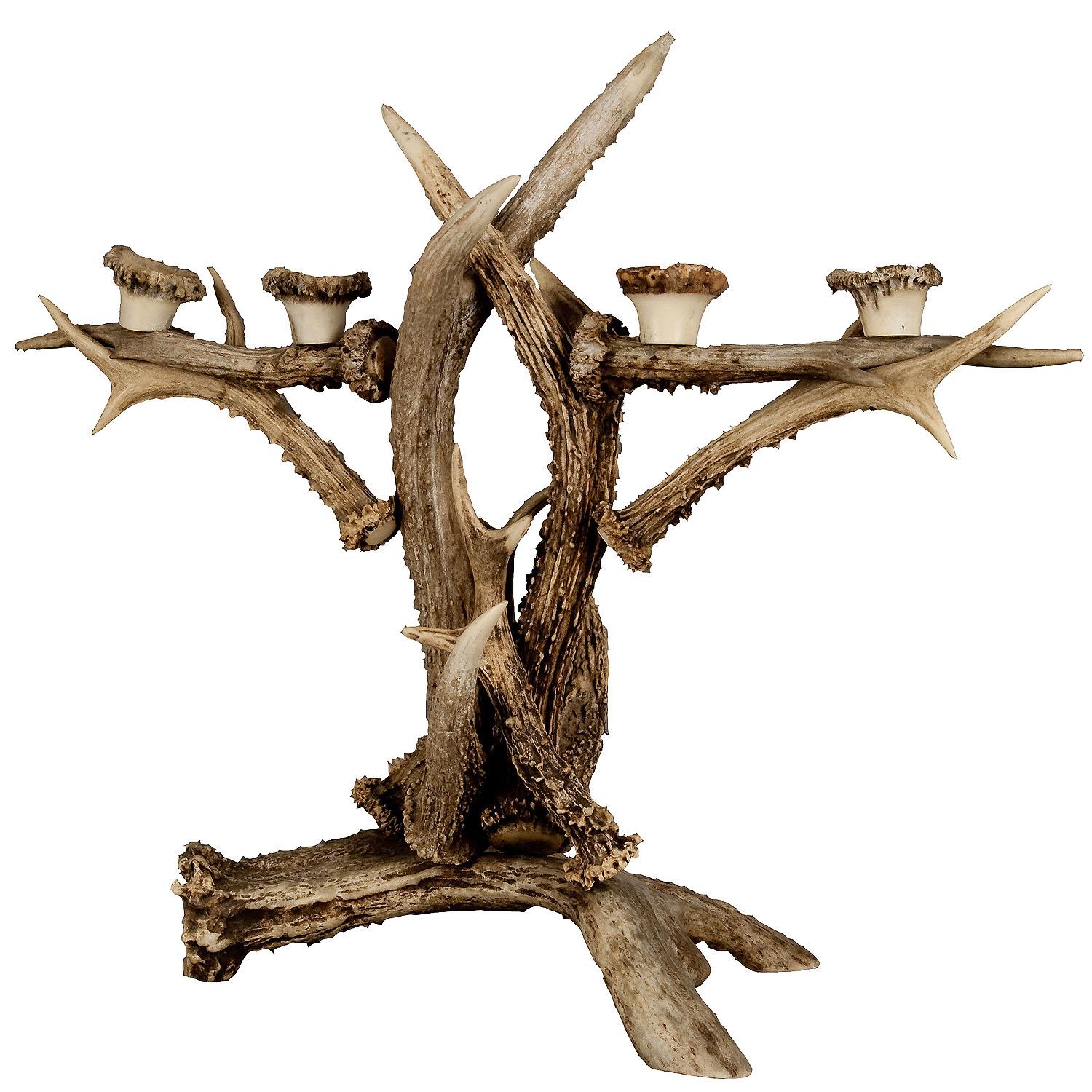 Large Antler Candle Holder ca. 1900

An antique large antler candle holder made from real deer and elk antlers. Made in the Black Forest region around 1900. A great addition to your rustic cabin decorations.

This article contains parts of animal