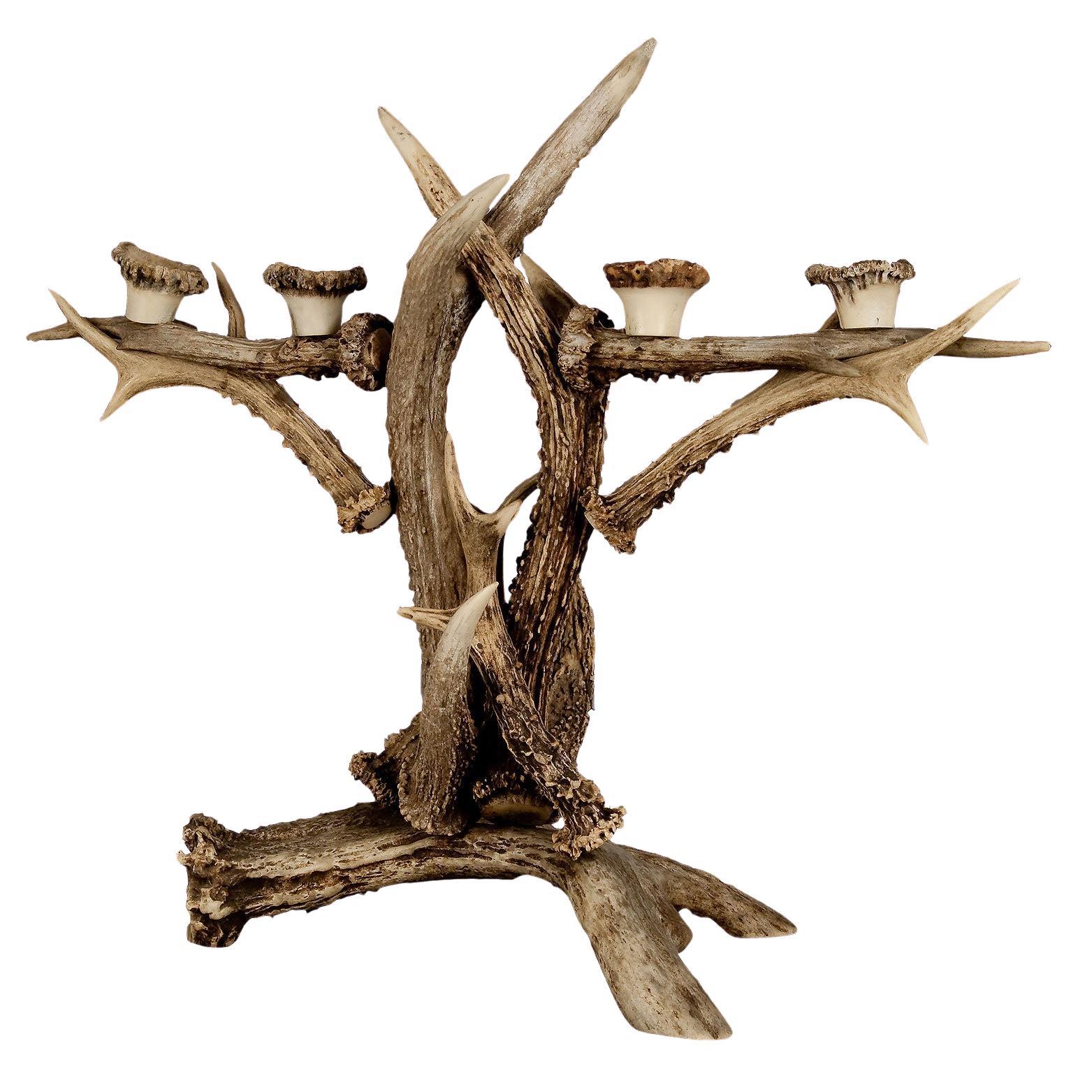 Large Antler Candle Holder ca. 1900 For Sale