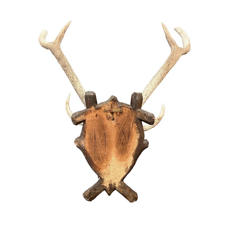 Rustic Large Antler Mount on German Black Forest Plaque