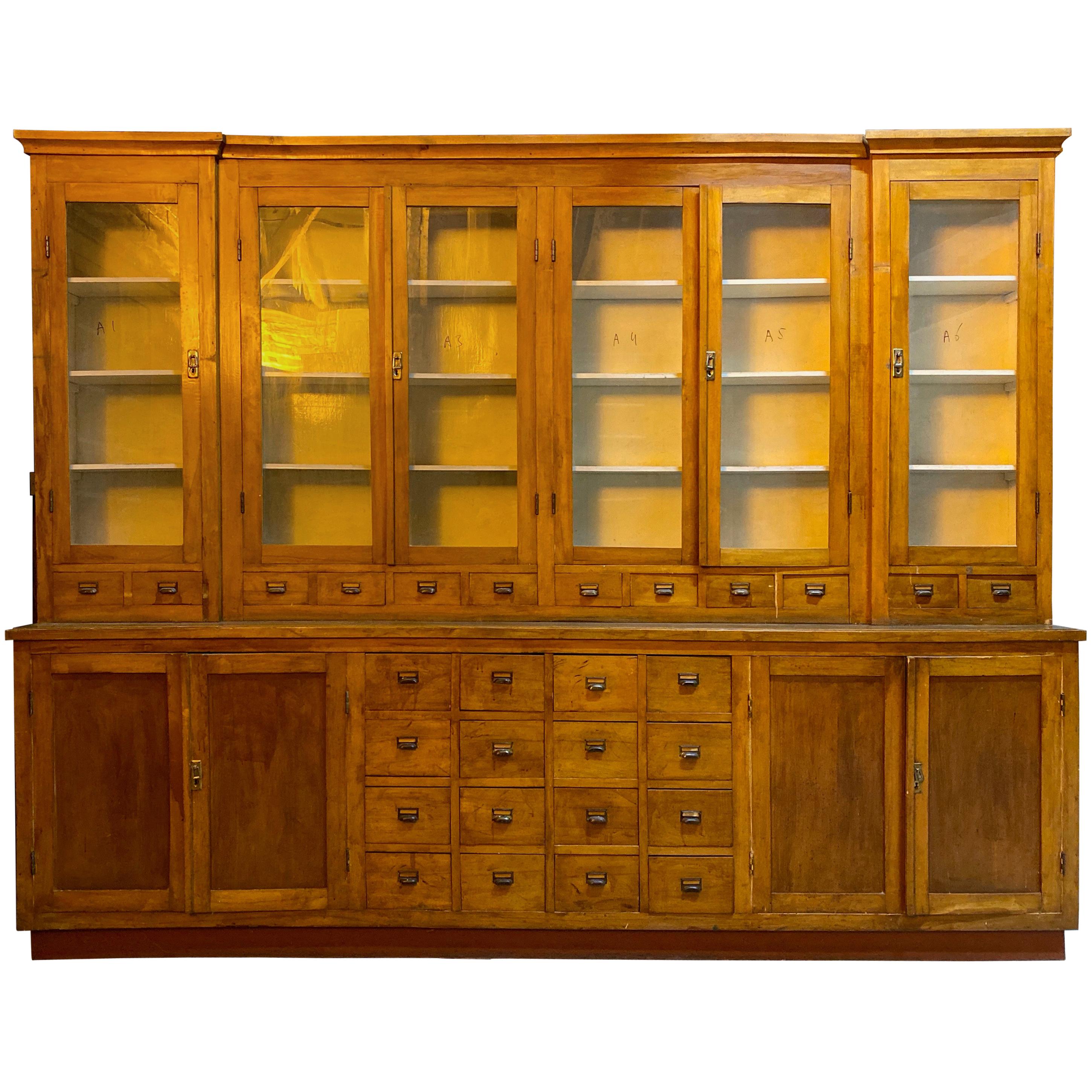 Large Apothecary Display Cabinet Pharmacy Chemist Shop circa 1920s Number 3