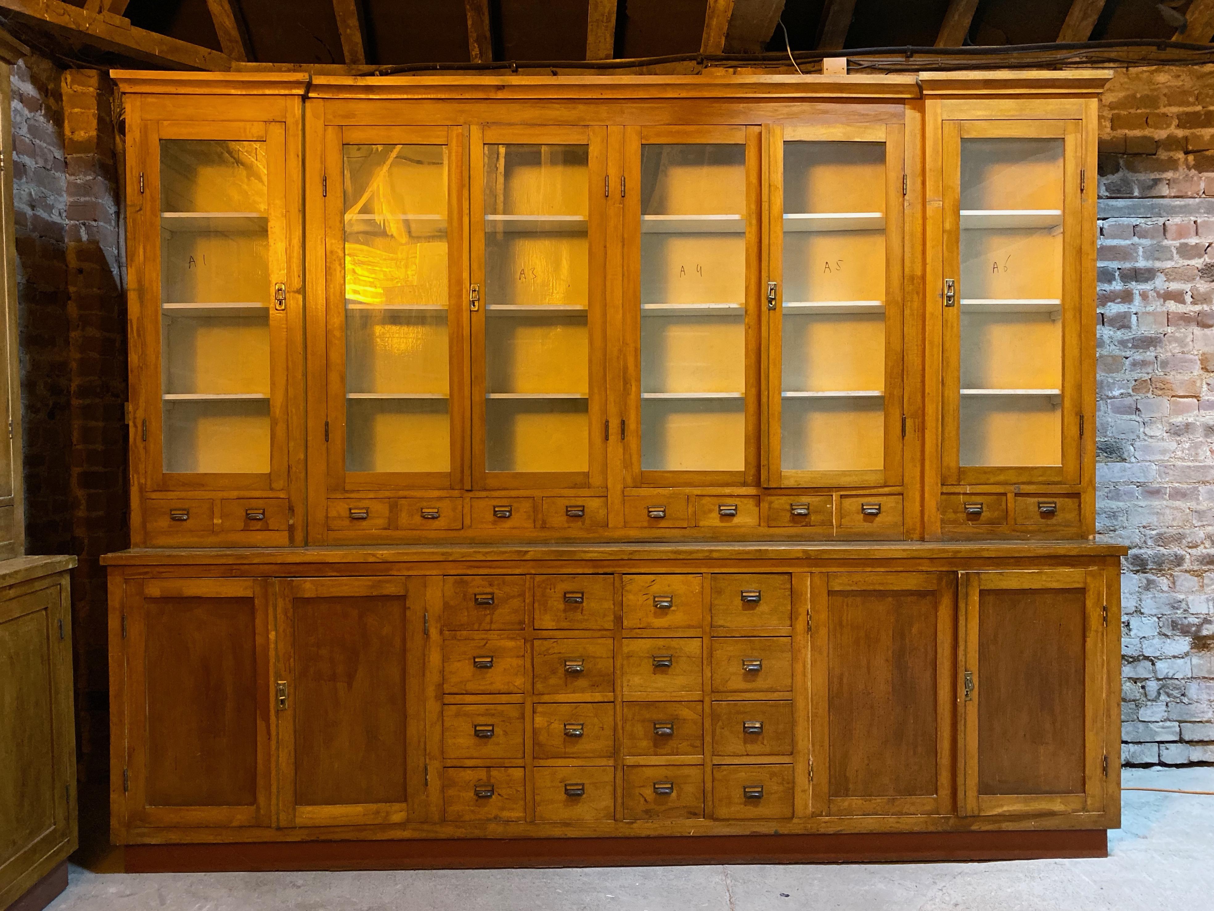 Large apothecary display cabinet pharmacy chemist shop circa 1920s number 4

Magnificent breakfront Apothecary Pharmacy beech display cabinet dating to circa 1920s, This piece is one of six similar pieces all from the same pharmacy, the upper